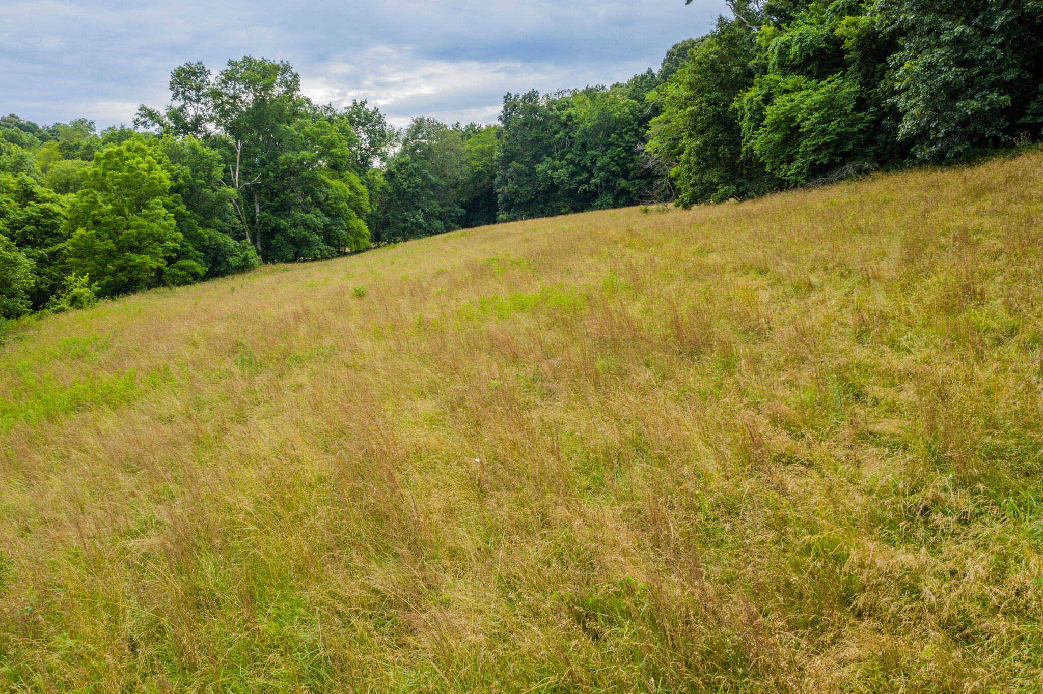 0 McAnally Road Mount Pleasant, TN 38474 - Photo 19 of 22 Gallery Image 19