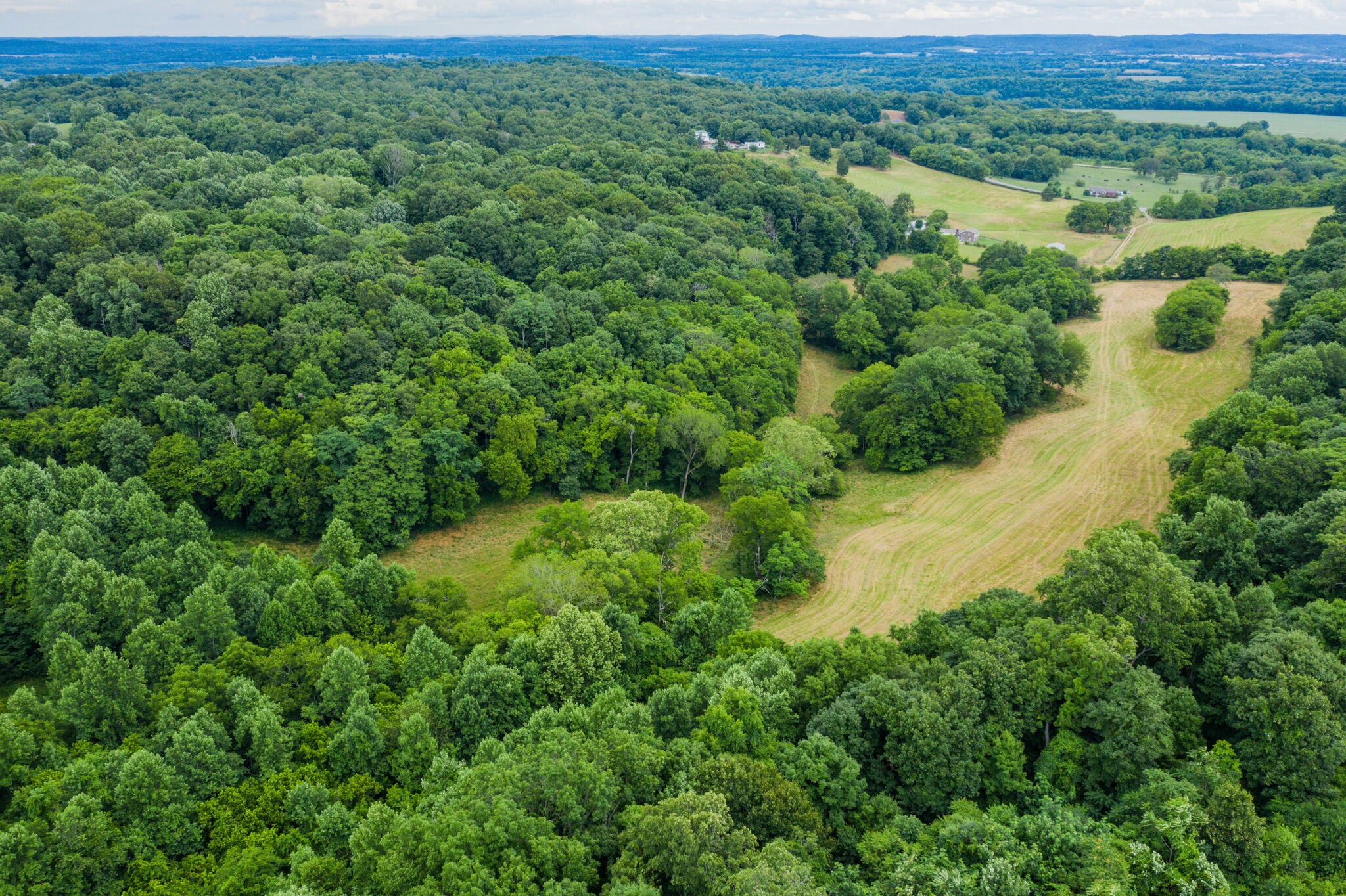 0 McAnally Road Mount Pleasant, TN 38474 - Photo 4 of 22 Gallery Image 4
