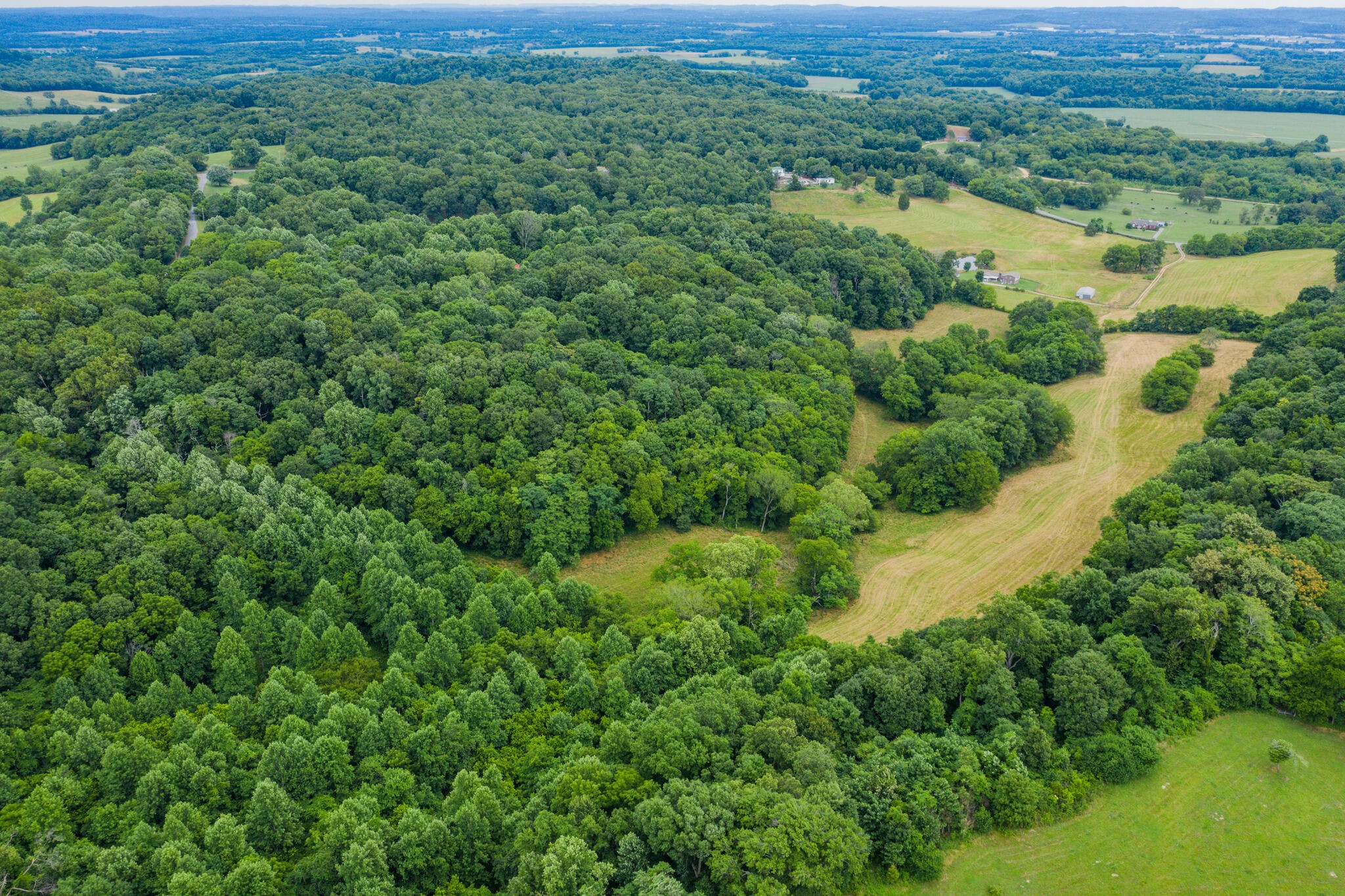 0 McAnally Road Mount Pleasant, TN 38474 - Photo 5 of 22 Gallery Image 5
