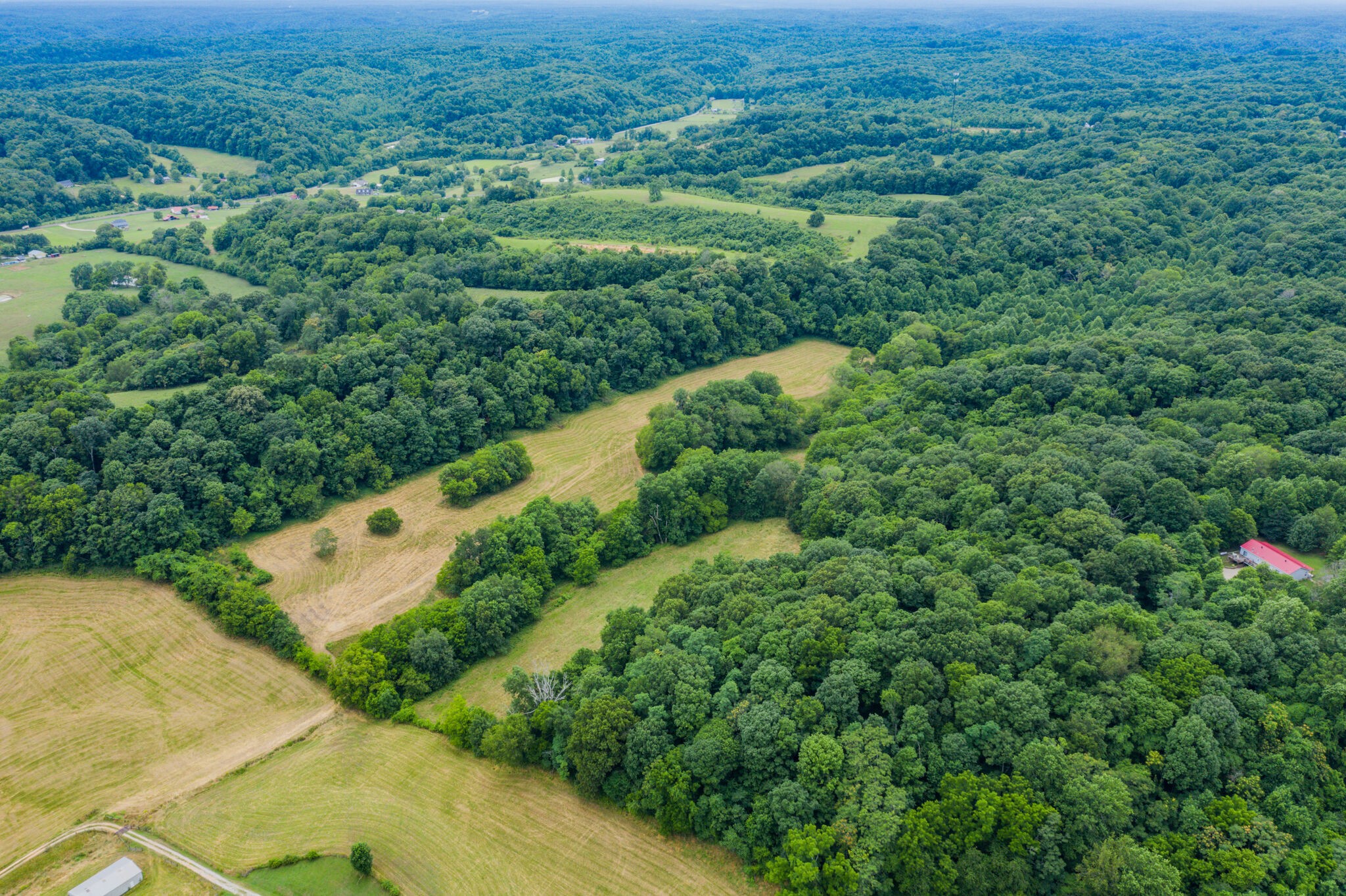 0 McAnally Road Mount Pleasant, TN 38474 - Photo 9 of 22 Gallery Image 9