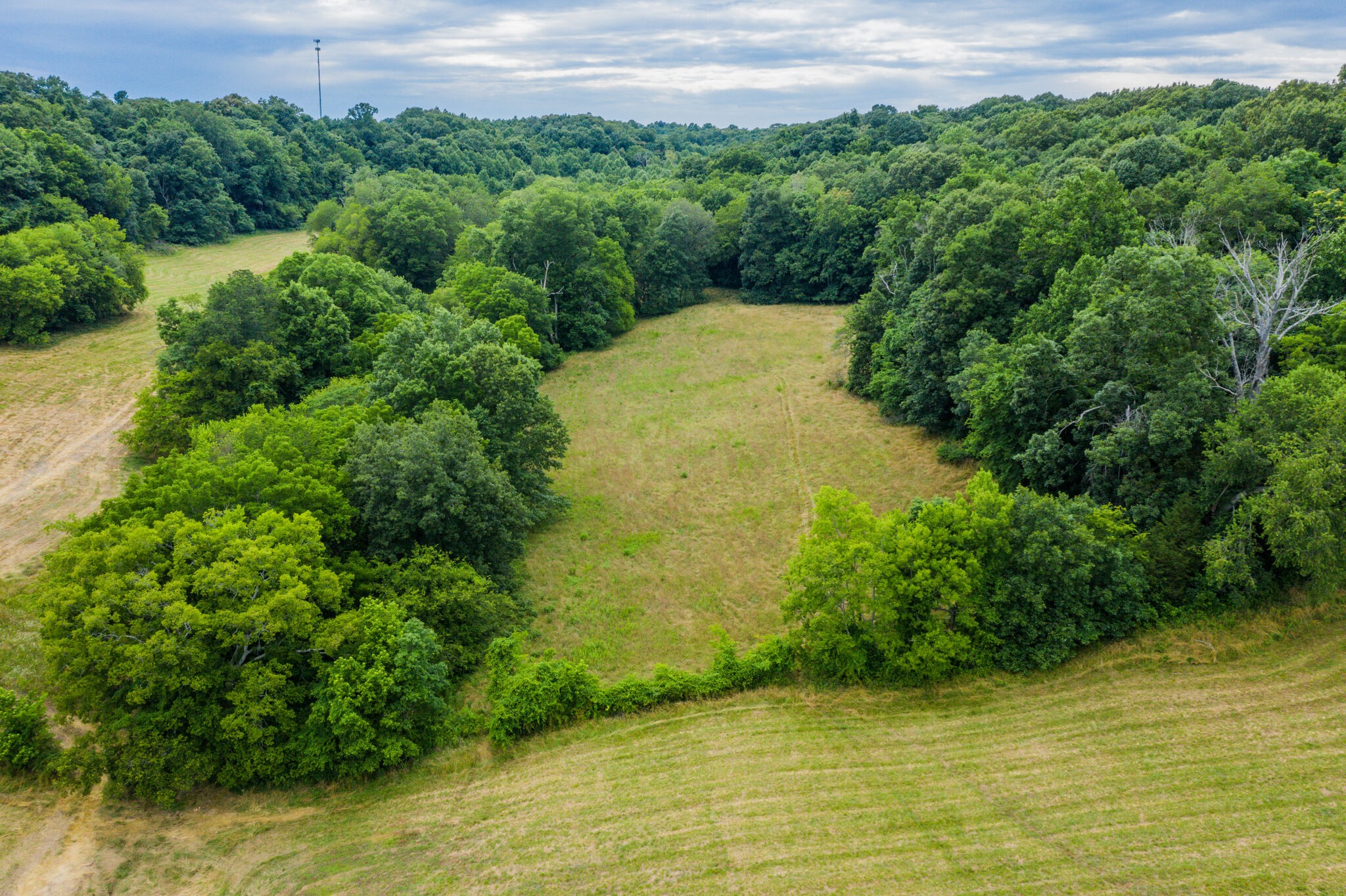 0 McAnally Road Mount Pleasant, TN 38474 - Photo 10 of 22 Gallery Image 10