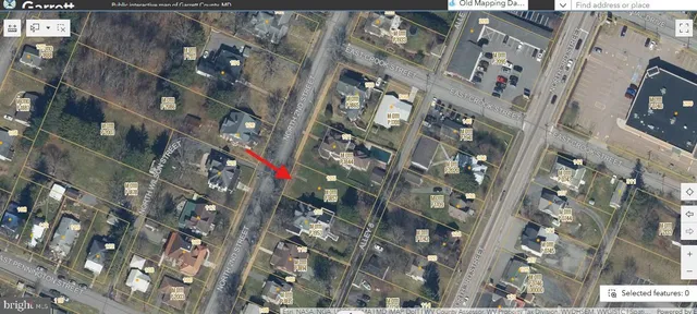 a street view with large trees