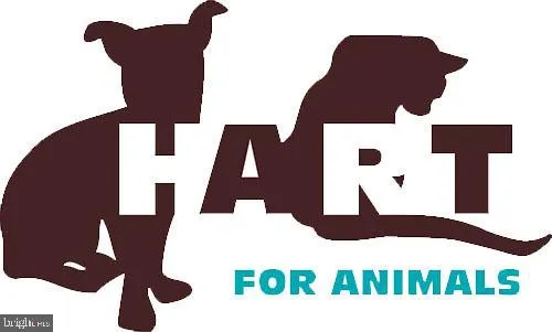 $115,000 | 125 North 2nd St Extension, Oakland, MD 21550