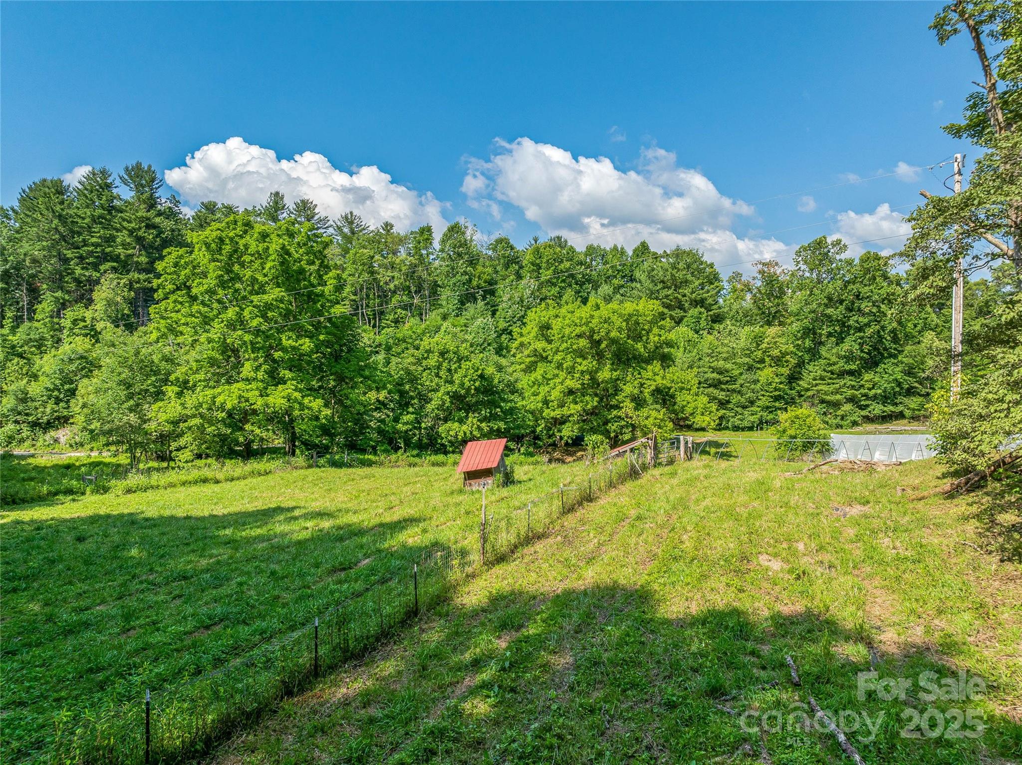 3151 Lumptown Road Marshall, NC 28753 - Photo 12 of 45