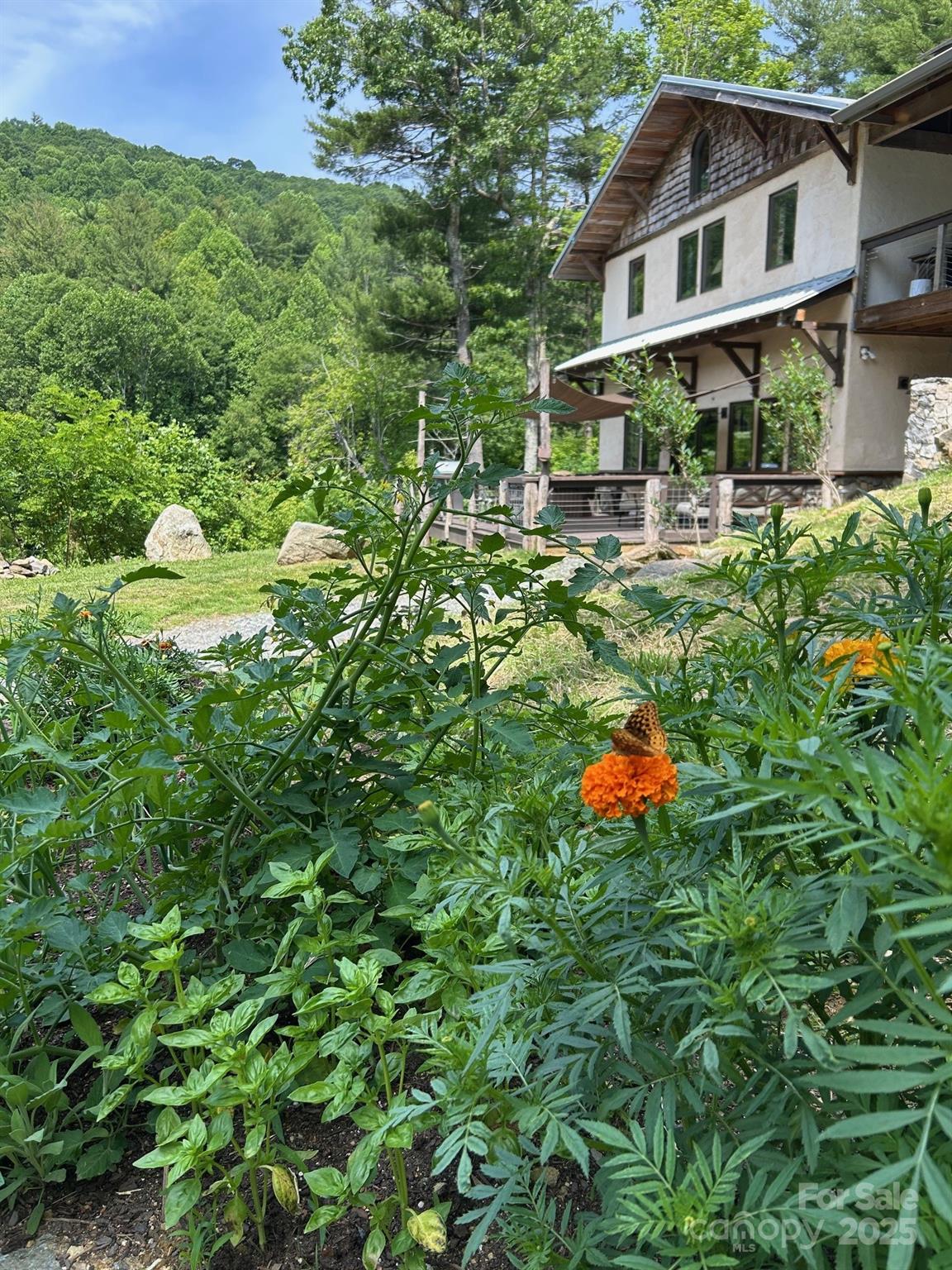 3151 Lumptown Road Marshall, NC 28753 - Photo 2 of 45