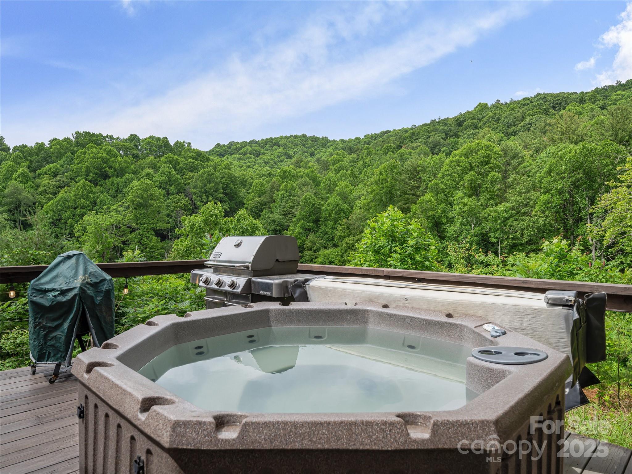 3151 Lumptown Road Marshall, NC 28753 - Photo 33 of 45