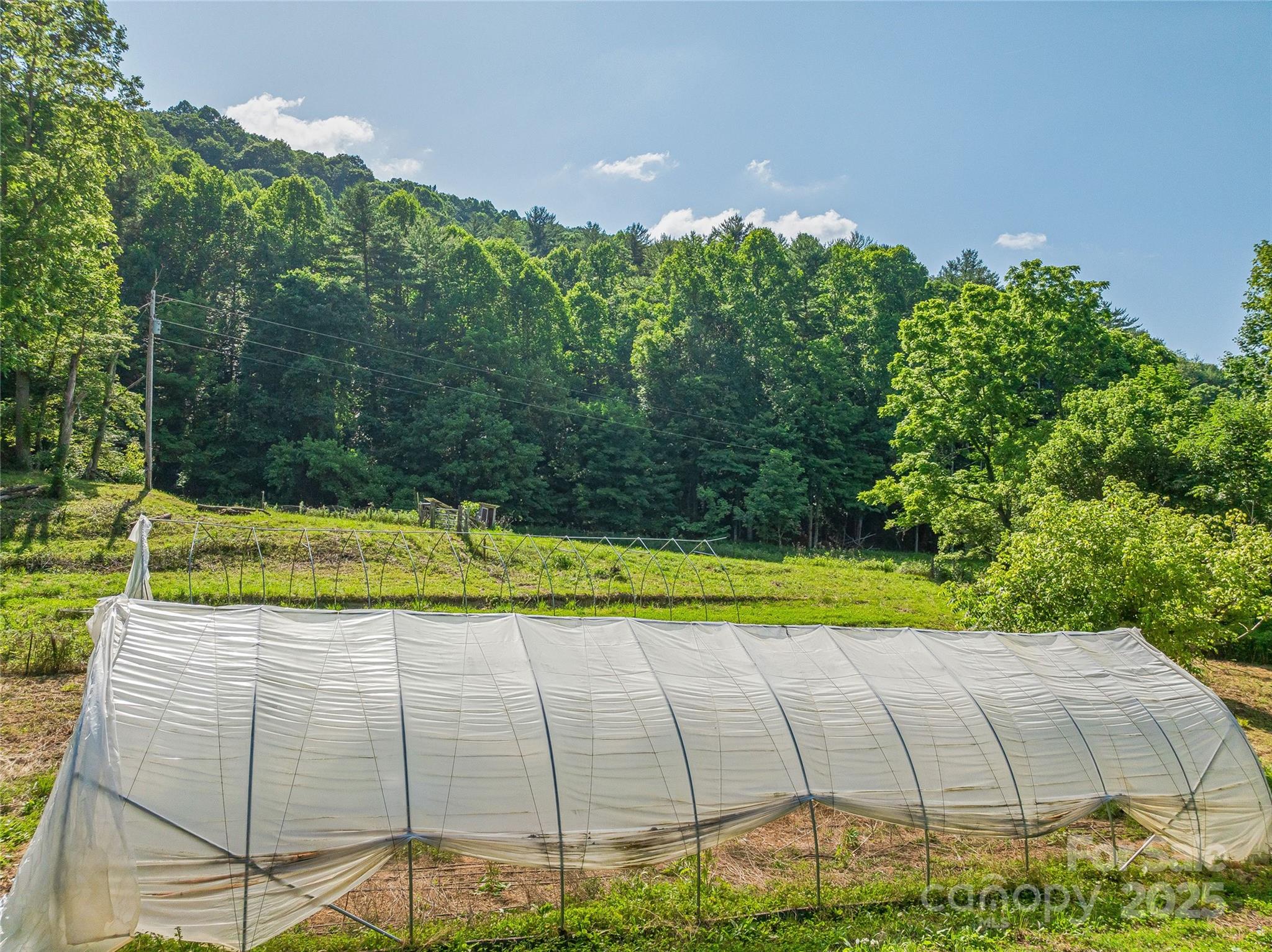 3151 Lumptown Road Marshall, NC 28753 - Photo 45 of 45