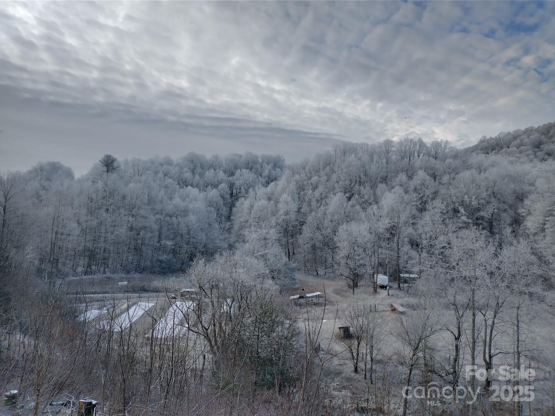 3151 Lumptown Road Marshall, NC 28753 - Photo 5 of 45