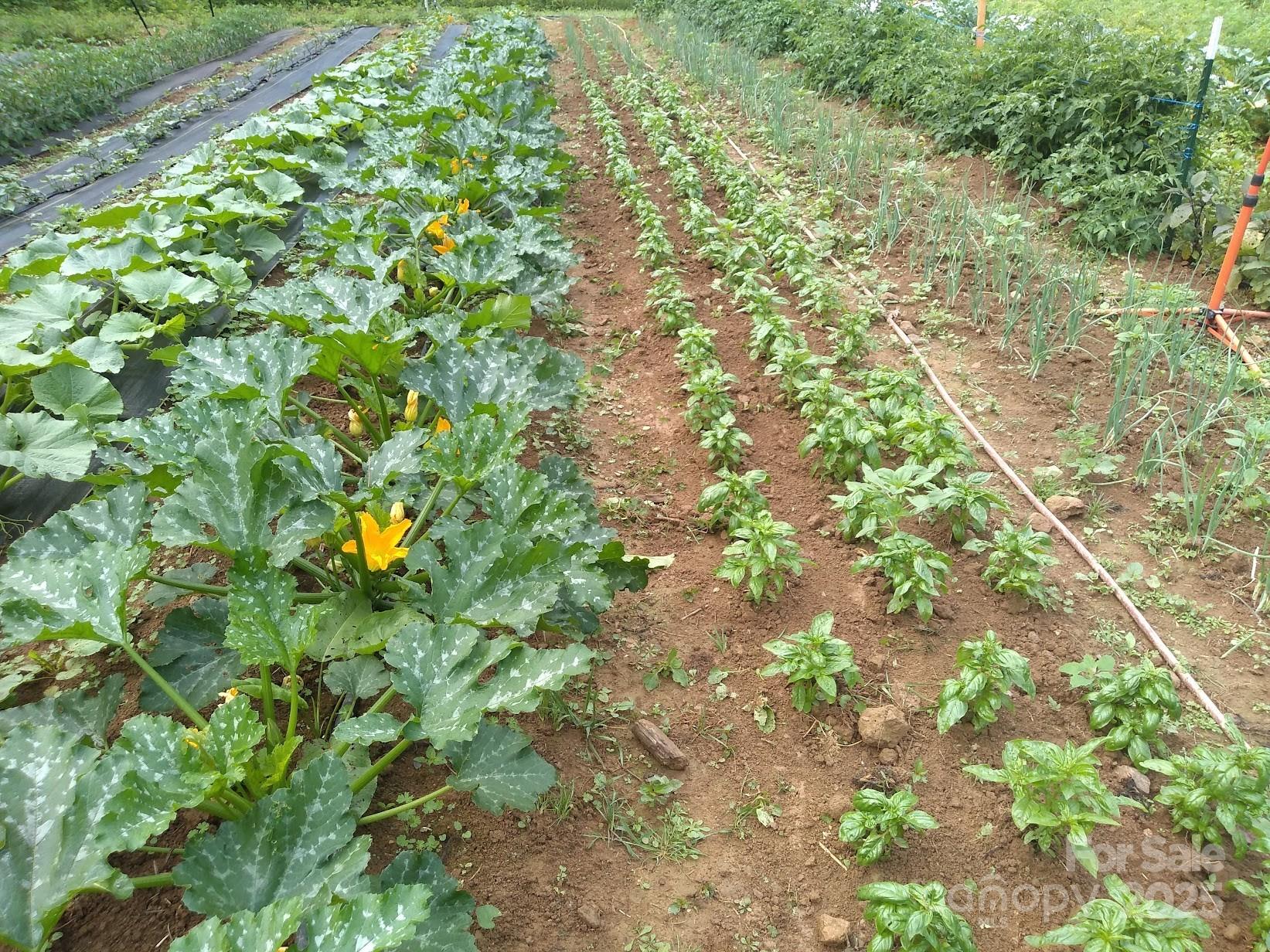 3151 Lumptown Road Marshall, NC 28753 - Photo 6 of 45