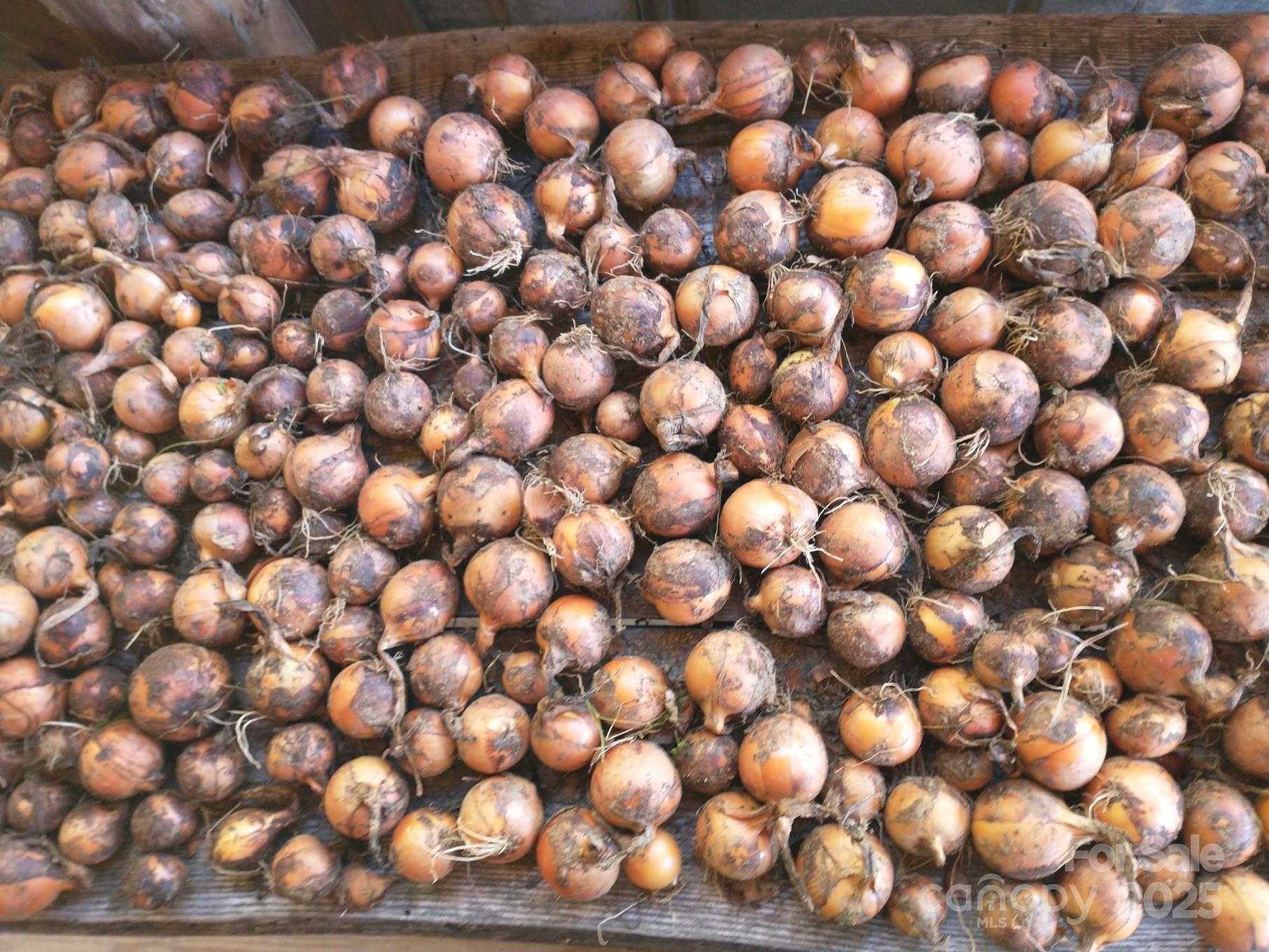 3151 Lumptown Road Marshall, NC 28753 - Photo 8 of 45