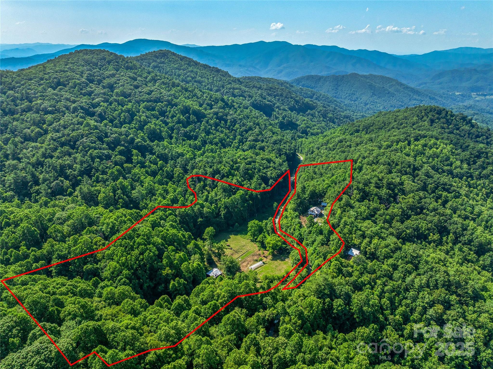 3151 Lumptown Road Marshall, NC 28753 - Photo 10 of 45