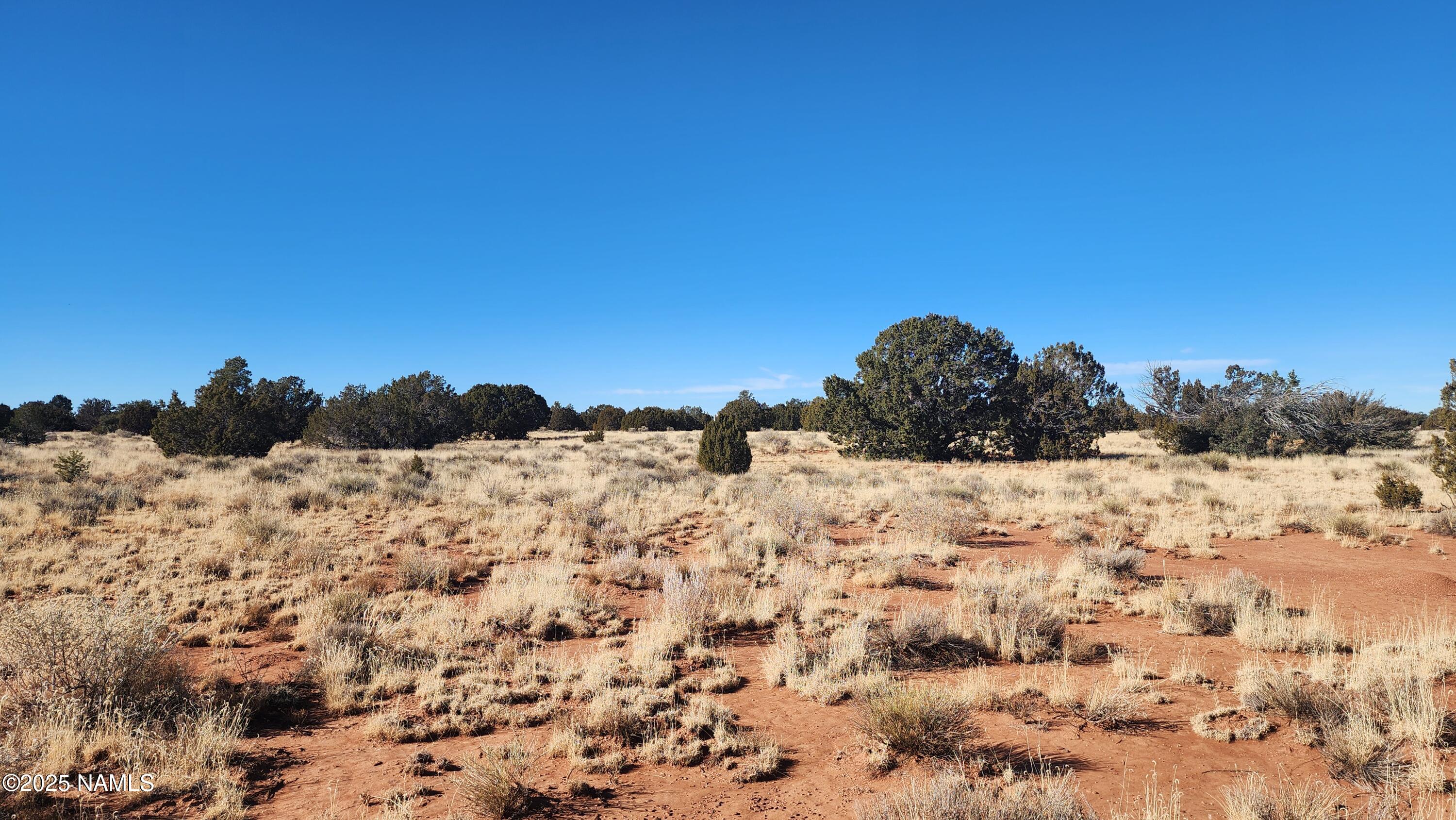 3372 East Valencia Road Williams, AZ 86046 - Photo 7 of 32 1000023785