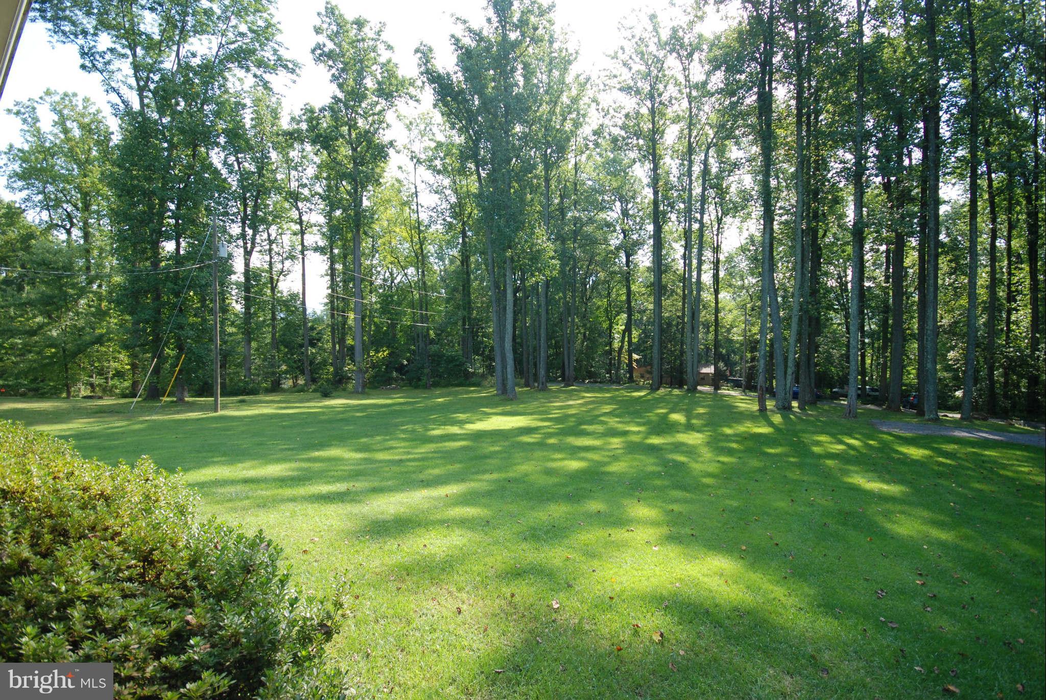 937 High Top Road Linden, VA 22642 - Photo 4 of 23 Exterior (General)