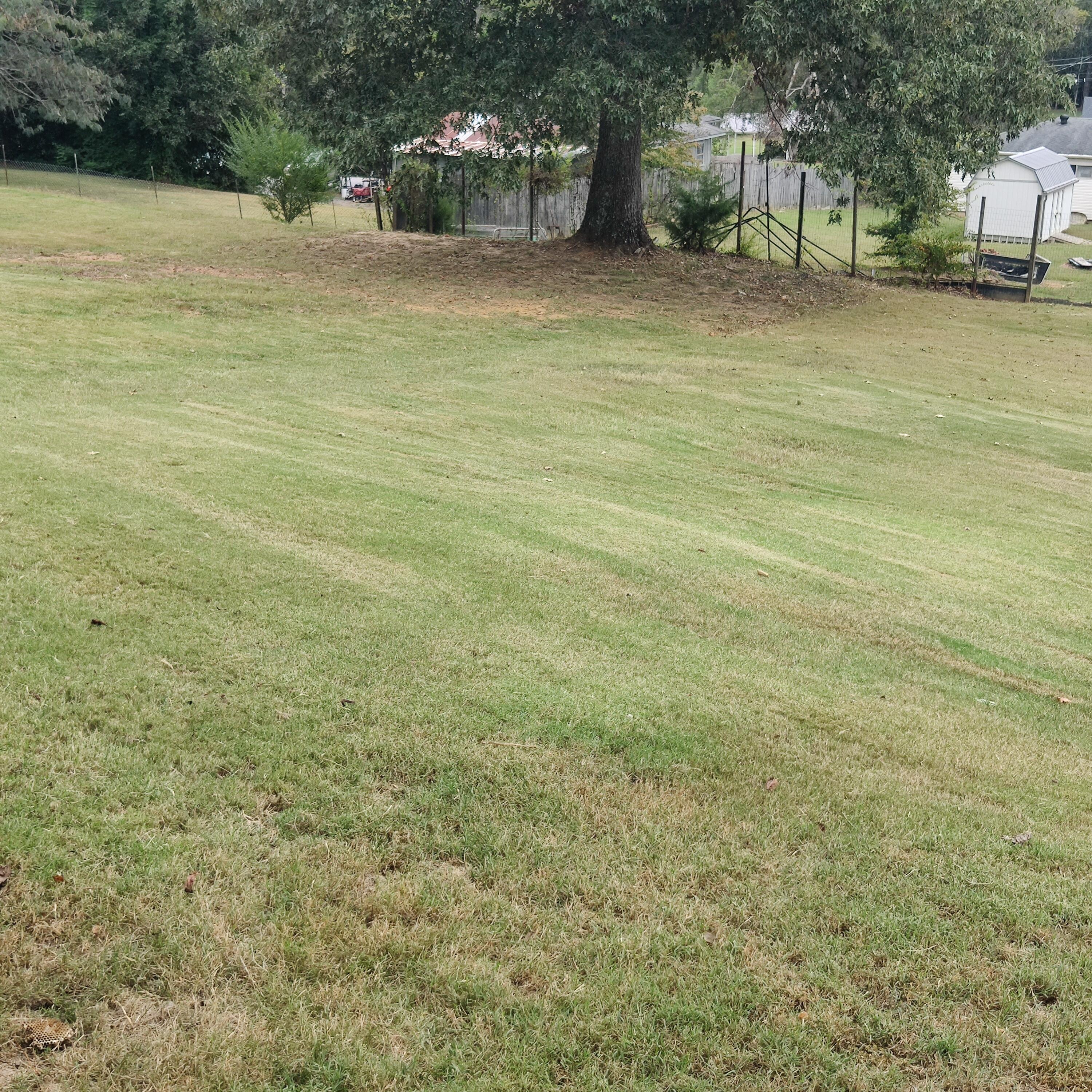 1062 Tiftonia View Road Chattanooga, TN 37419 - Photo 53 of 61 1000009948