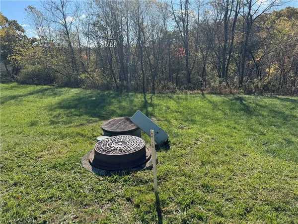 a view of a backyard with plants and a fountain