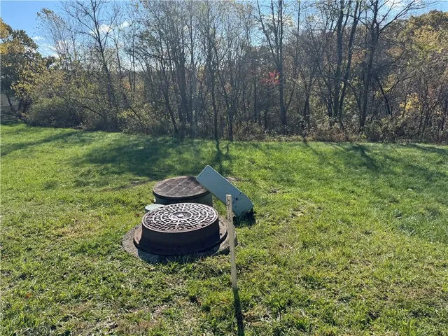 a view of a backyard with plants and a fountain