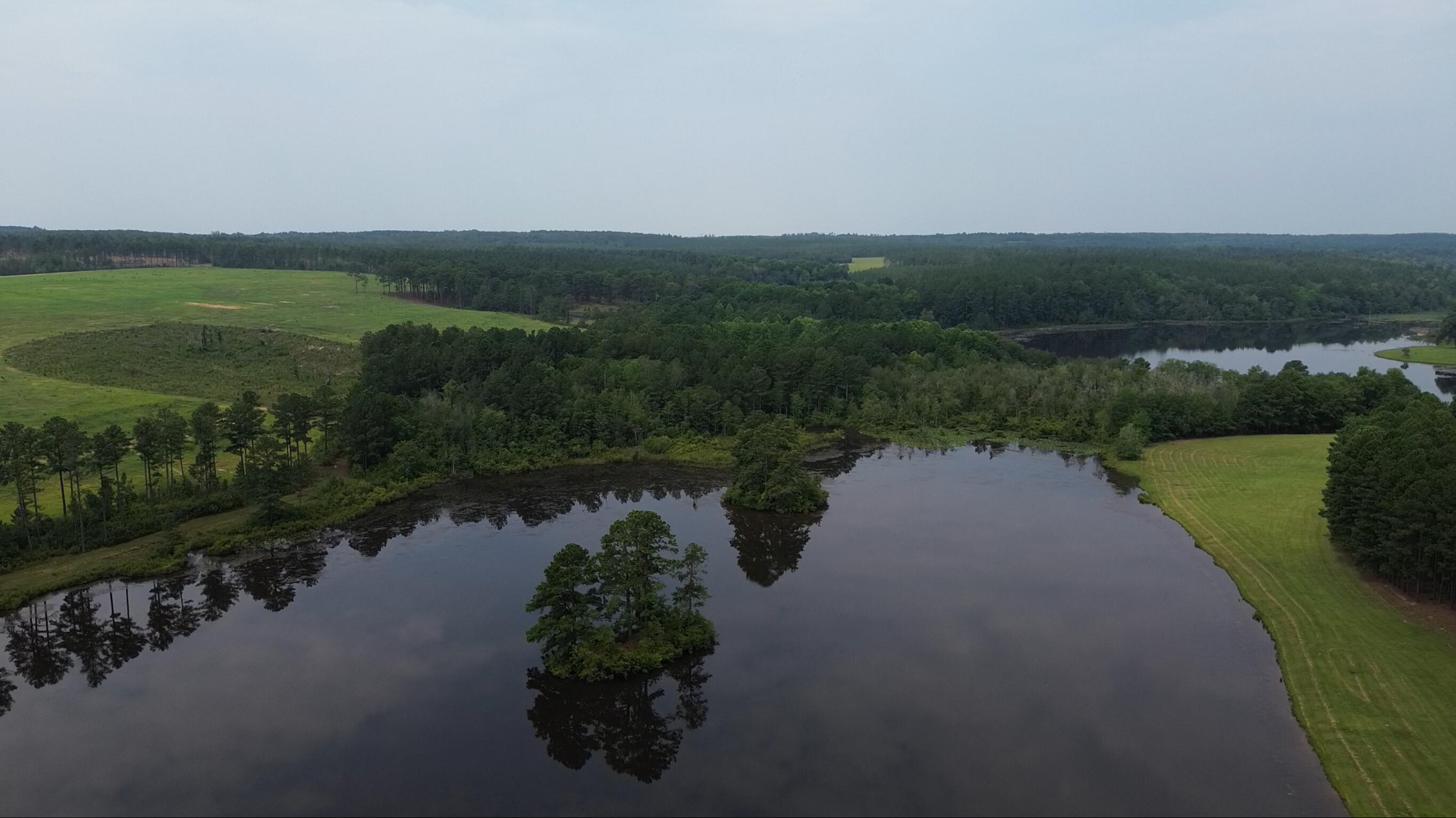 -lot 47 Laughlin Loop Aiken, SC 29805 - Photo 3 of 13