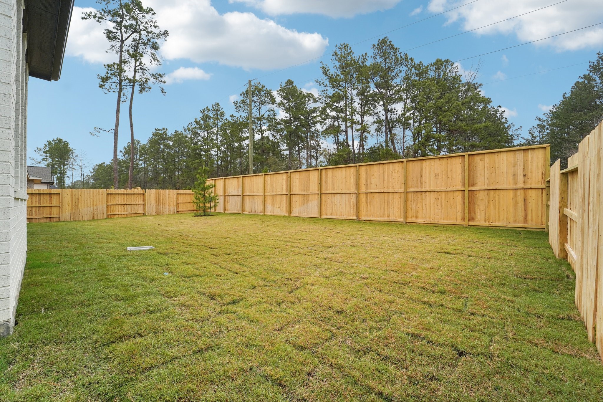 13091 Whitewater Way Conroe, TX 77302 - Photo 41 of 48