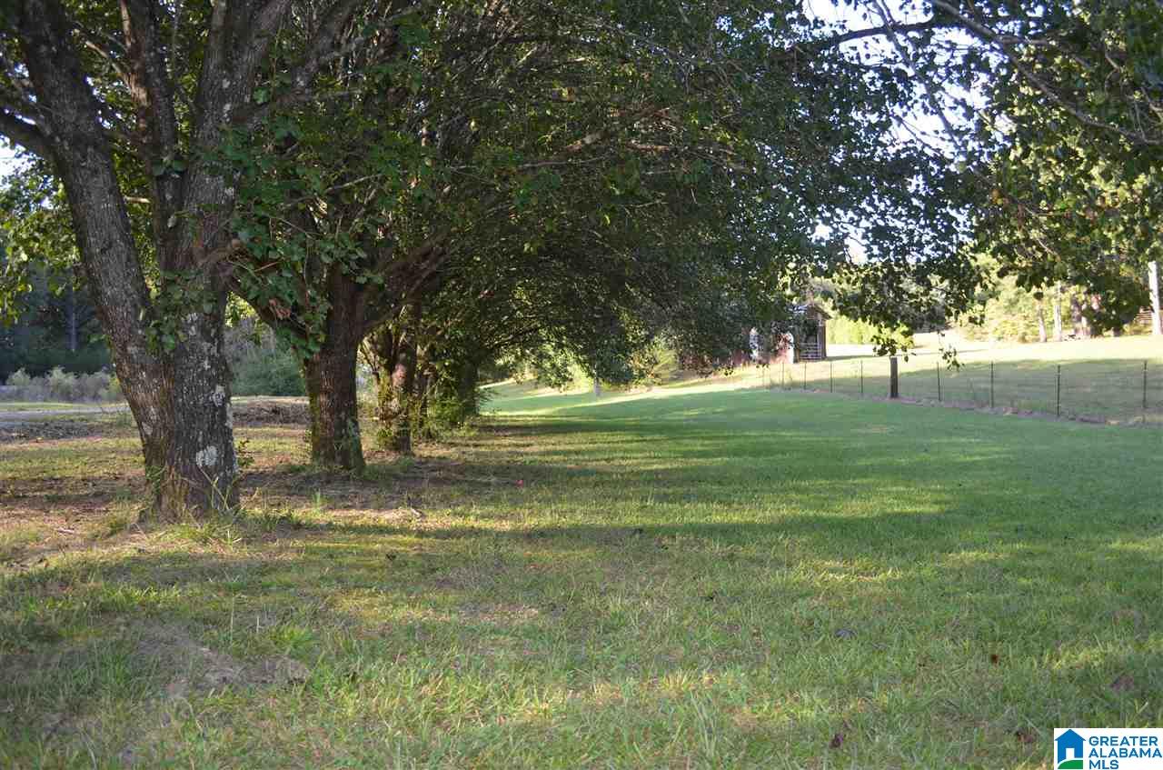 3916 Bethel Road Pinson, AL 35126 - Photo 29 of 29