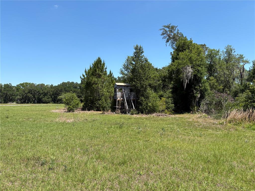 0 Greenbriar Road Lakeland, FL 33810 - Photo 20 of 27 Gallery Image 20