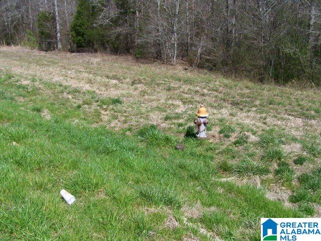 0 Mitchellville Road, Unit ACREAGE Lincoln, AL 35096 - Photo 9 of 19