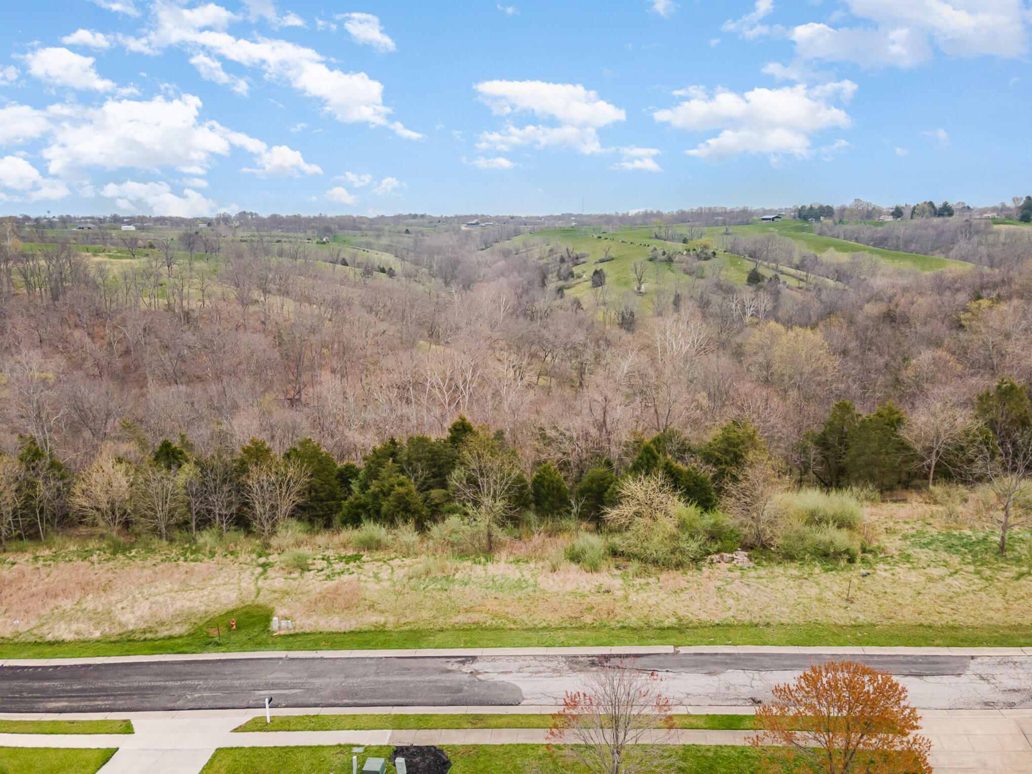 Lot 29 Saddlebrook Lane Dry Ridge, KY 41035 - Photo 16 of 17