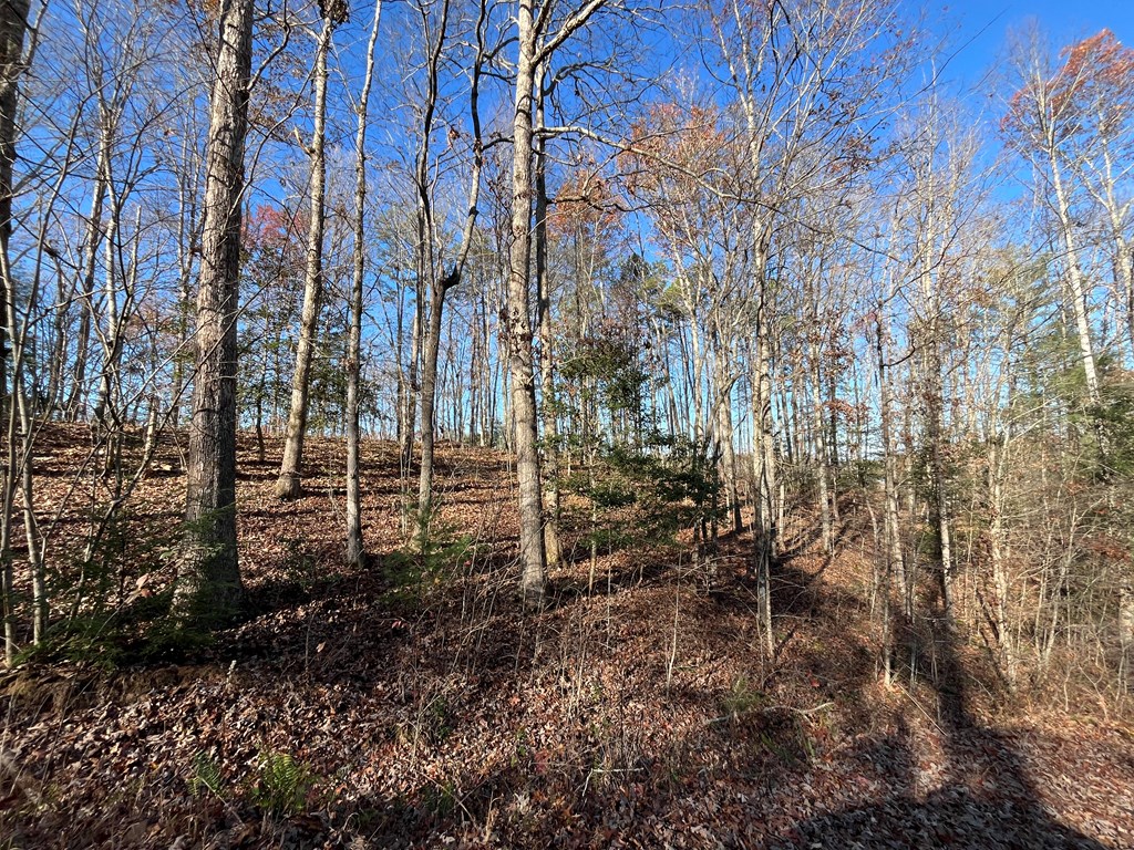 Tbd Tbd Corey Hill Road Murphy, NC 28906 - Photo 6 of 6 Gallery Image 6