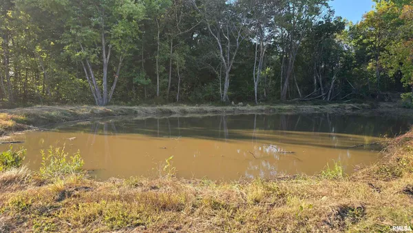 a view of a water pond with trees in the background