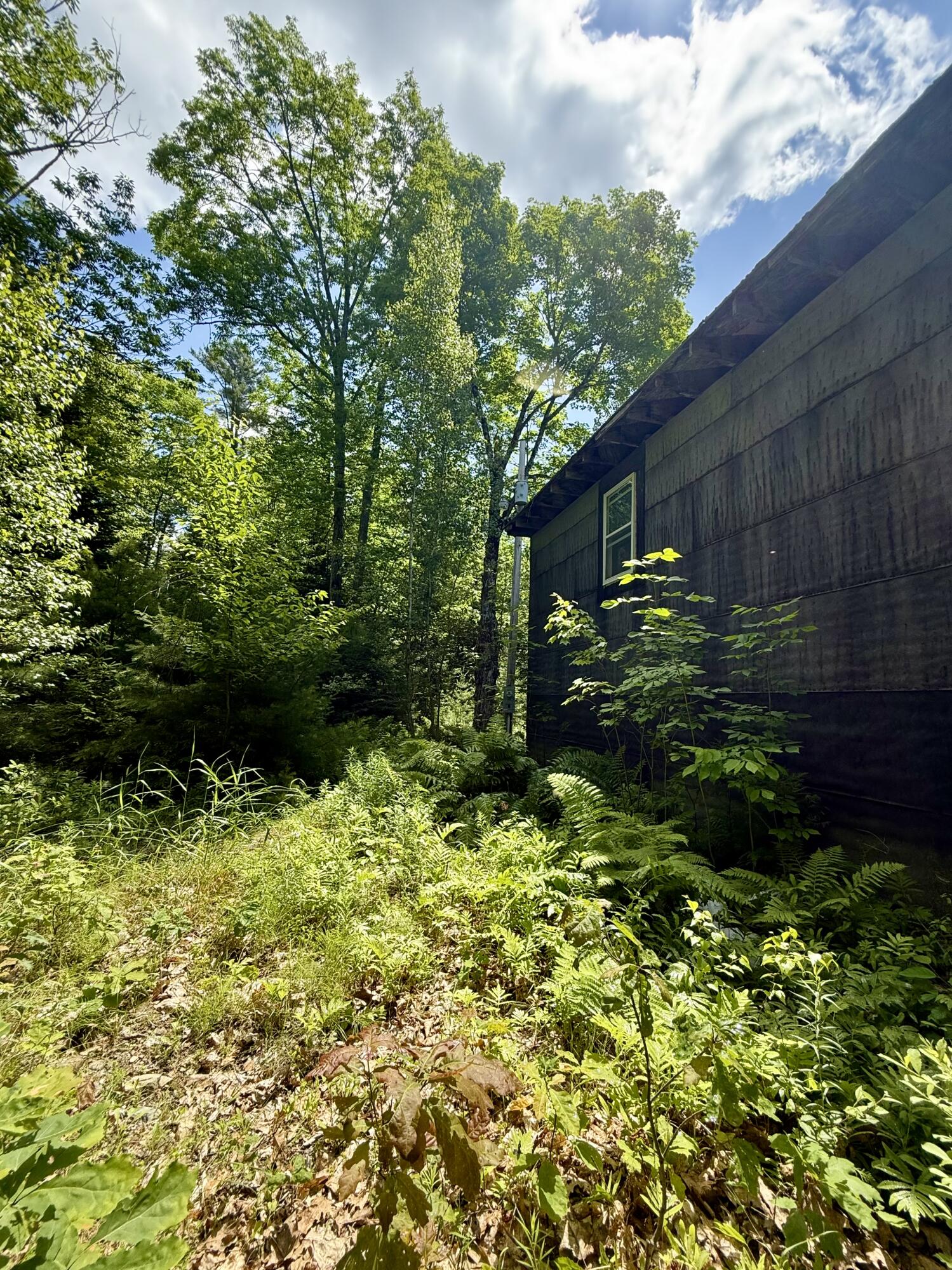 481 Airline Road Baileyville, ME 04694 - Photo 14 of 46 IMG_4661