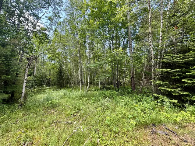 $104,400 | 481 Airline Road, Baileyville, ME 04694