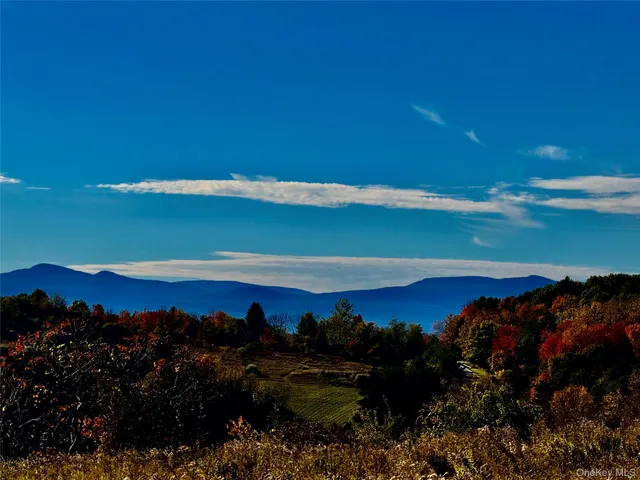 a view of a lake and a yard
