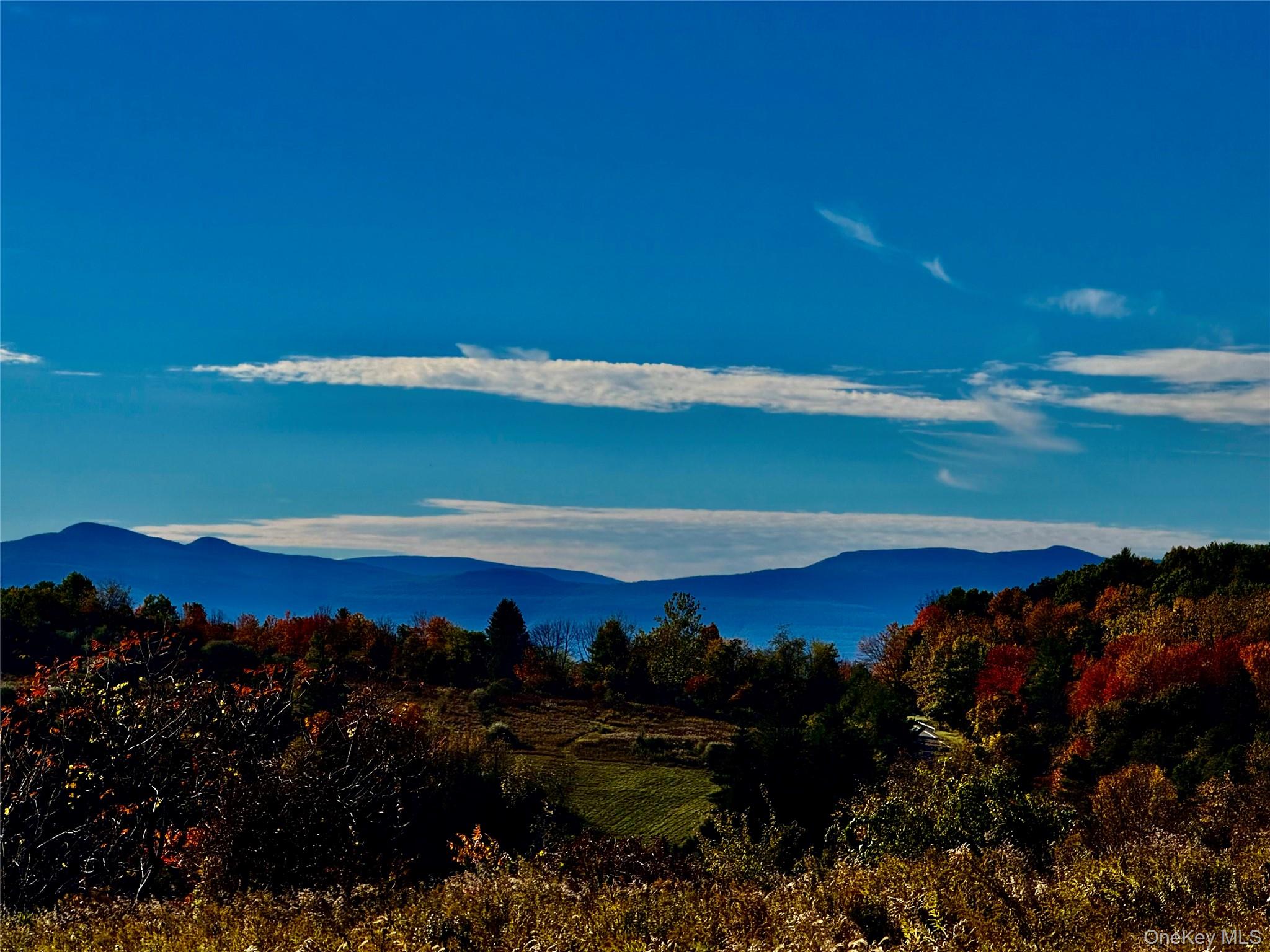 a view of a lake and a yard