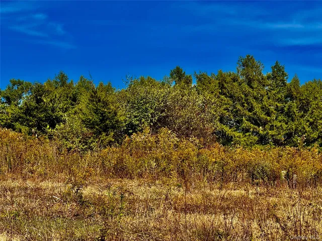 a view of a green field
