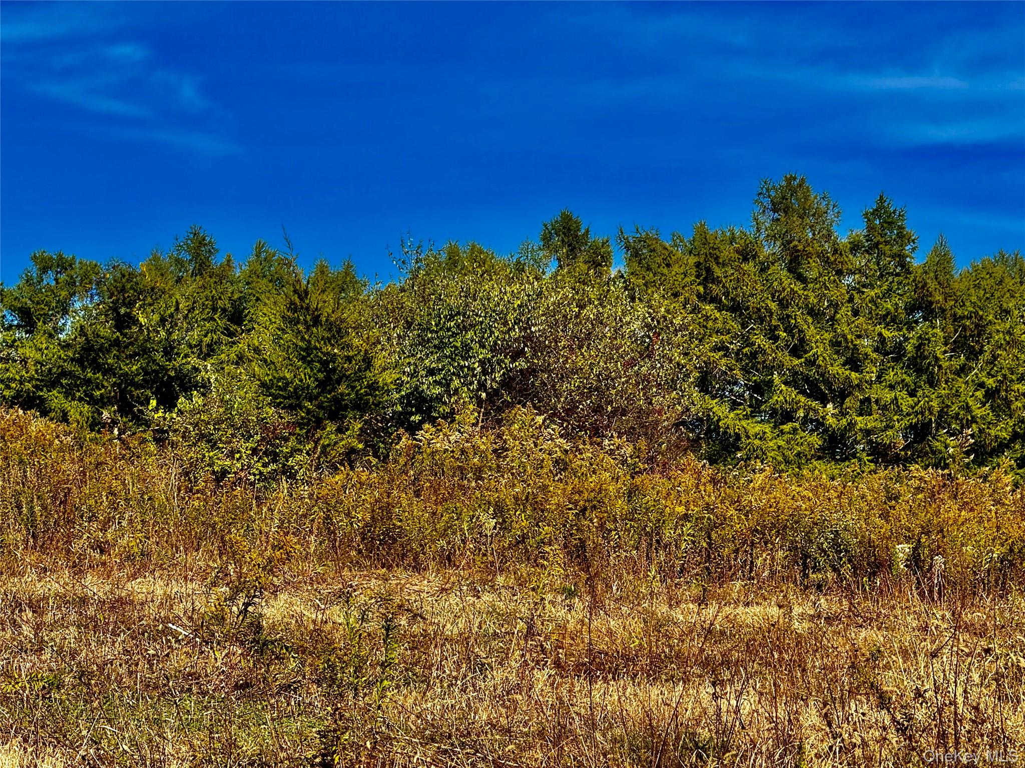 631 Rt-23 Claverack, NY 12530 - Photo 2 of 7 a view of a green field