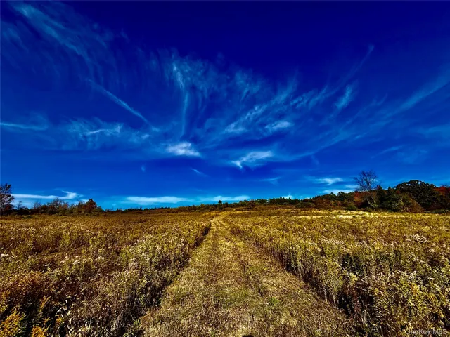 a view of a large building with mountains in the background