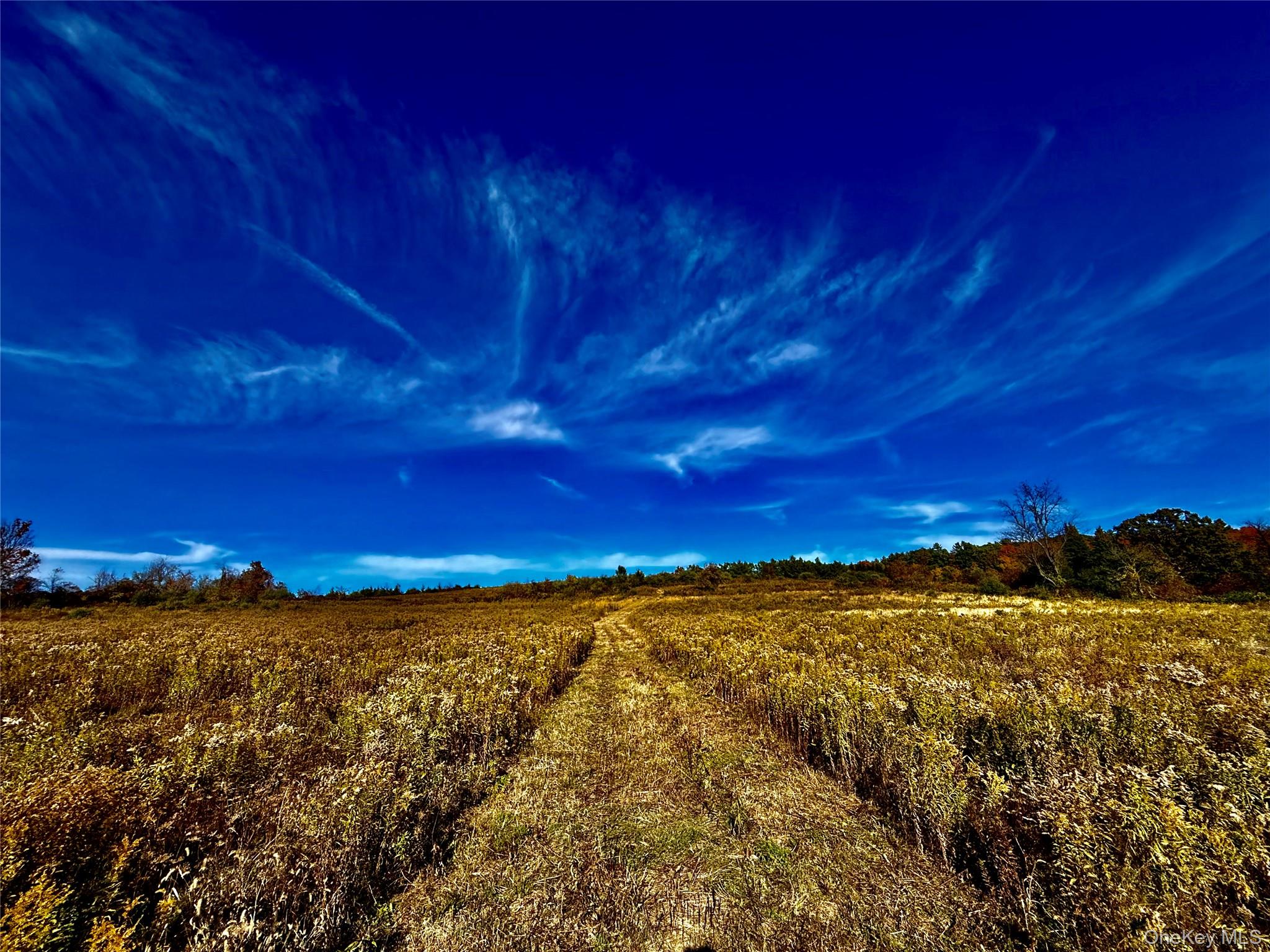 631 Rt-23 Claverack, NY 12530 - Photo 3 of 7 a view of a large building with mountains in the background