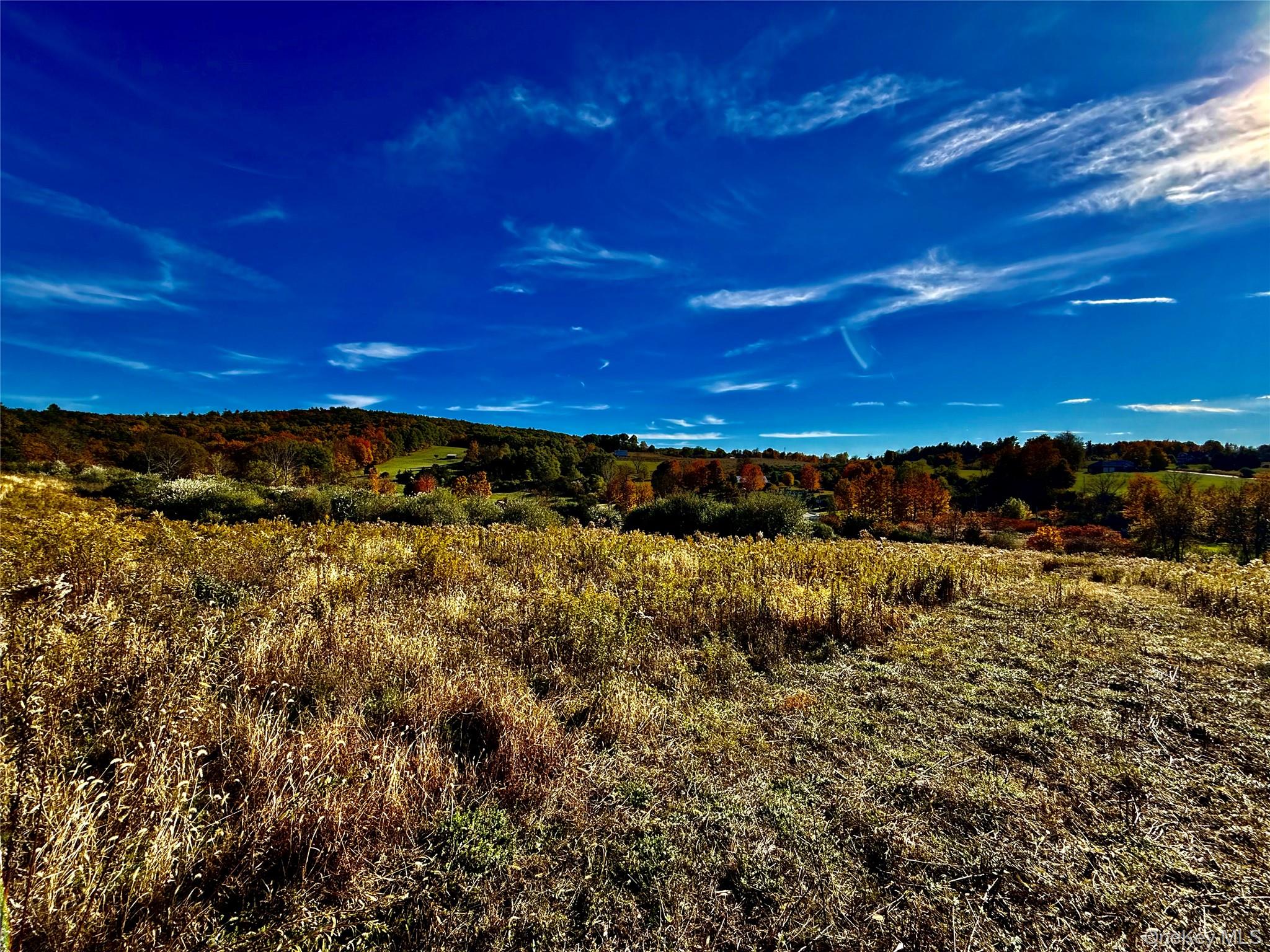 631 Rt-23 Claverack, NY 12530 - Photo 4 of 7 a view of a yard
