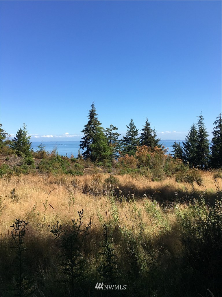 0 Raccoon Point Road Orcas Island, WA 98245 - Photo 1 of 10 Gallery Image 1