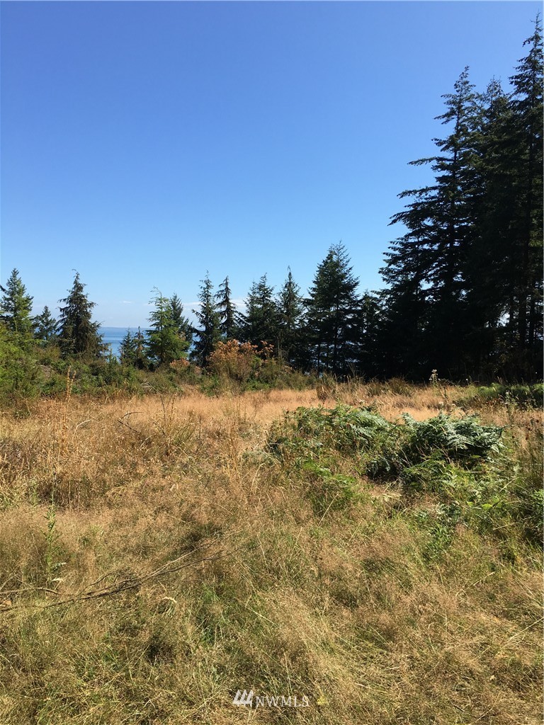 0 Raccoon Point Road Orcas Island, WA 98245 - Photo 2 of 10 Gallery Image 2