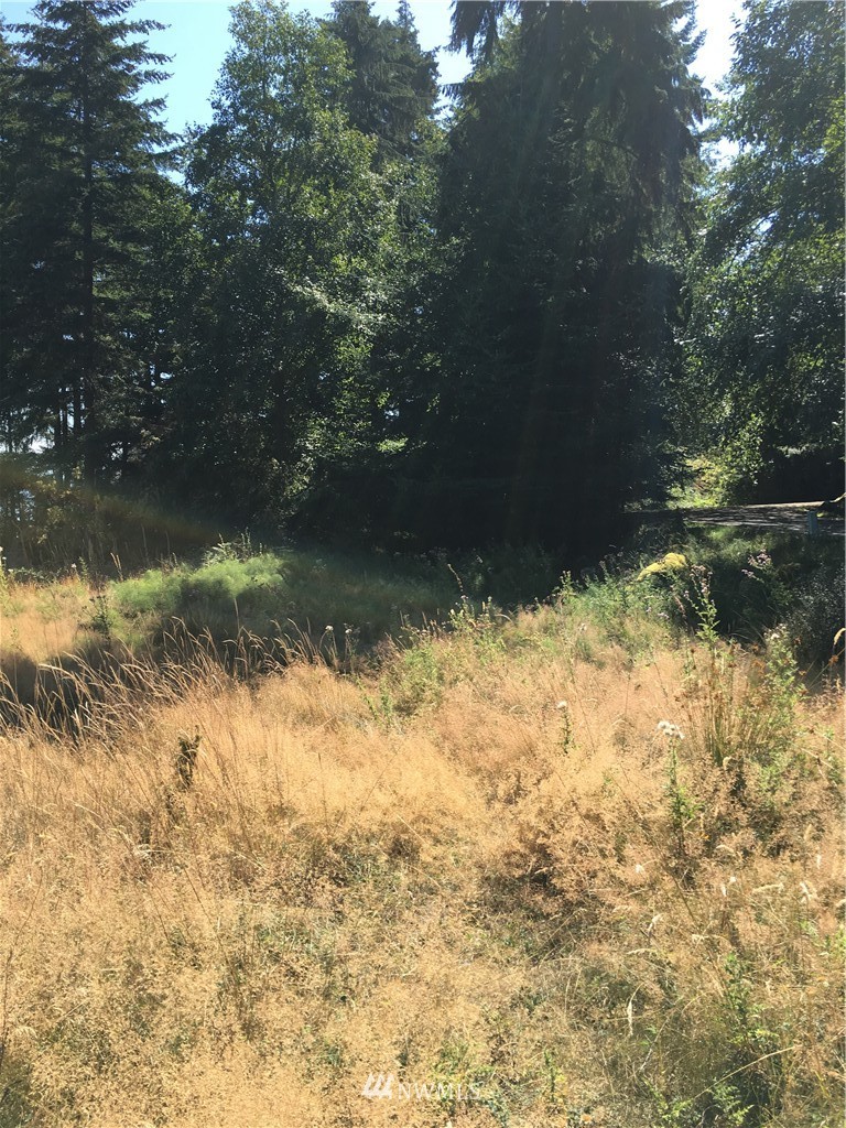 0 Raccoon Point Road Orcas Island, WA 98245 - Photo 3 of 10 Gallery Image 3