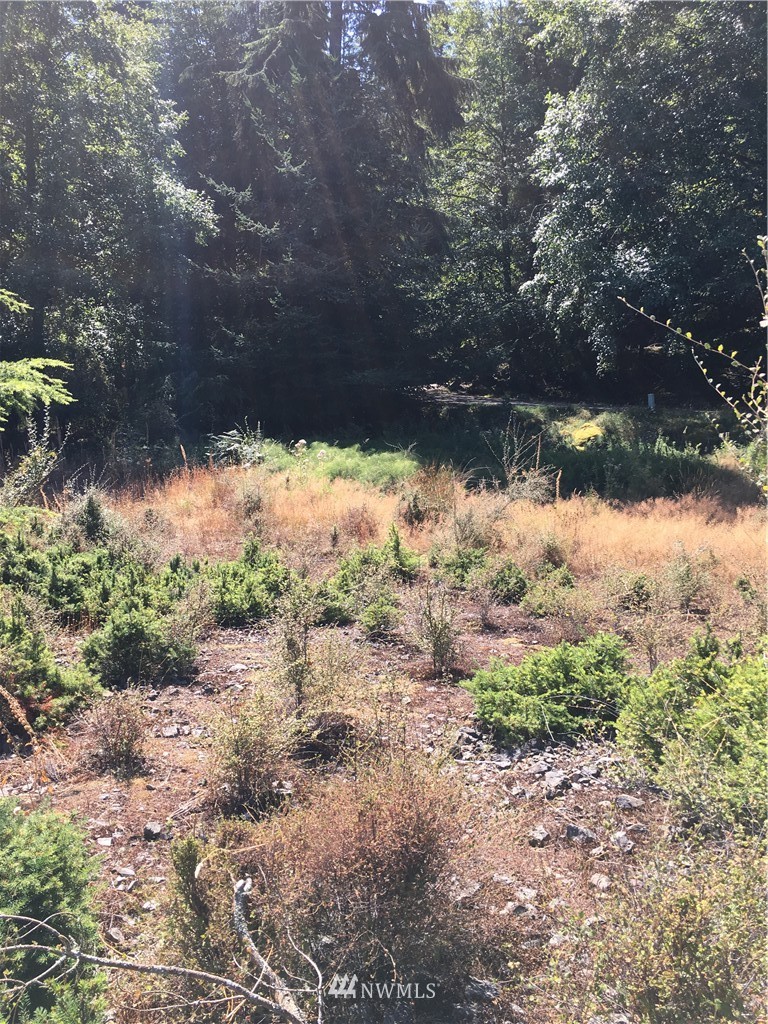0 Raccoon Point Road Orcas Island, WA 98245 - Photo 5 of 10 Gallery Image 5