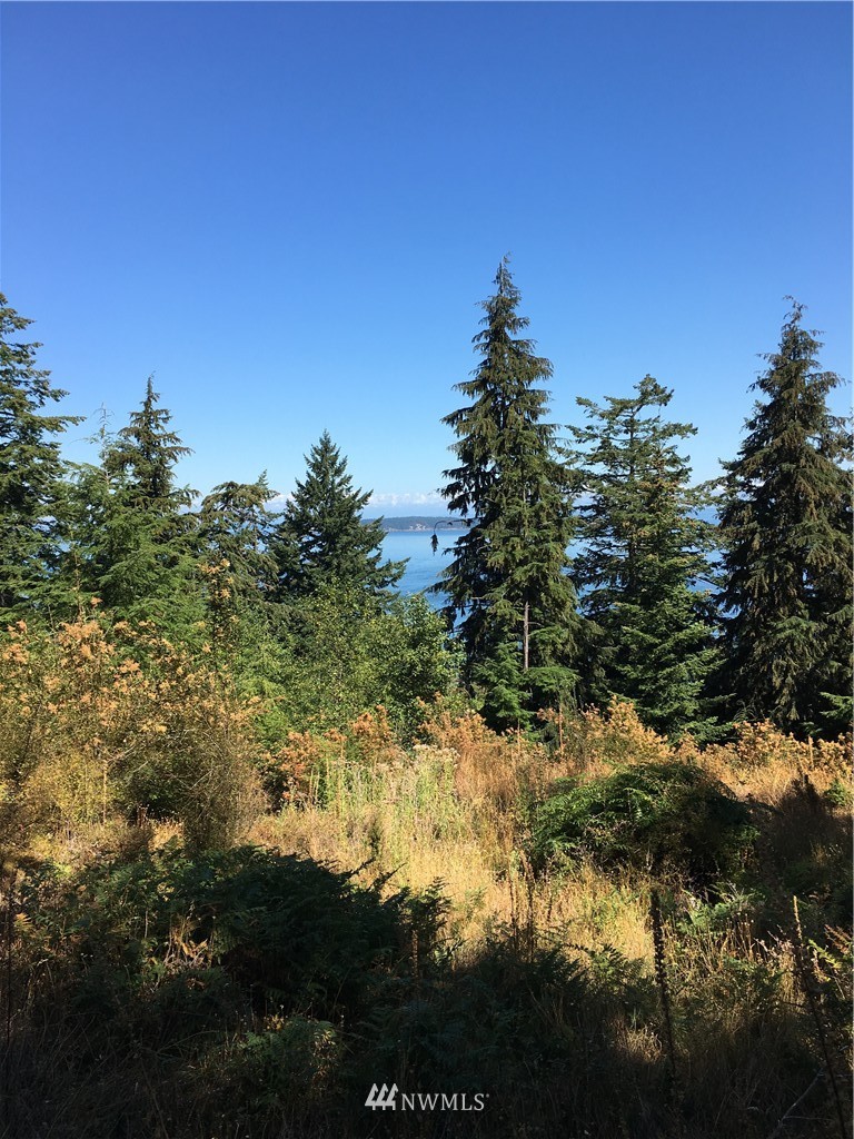0 Raccoon Point Road Orcas Island, WA 98245 - Photo 7 of 10 Gallery Image 7