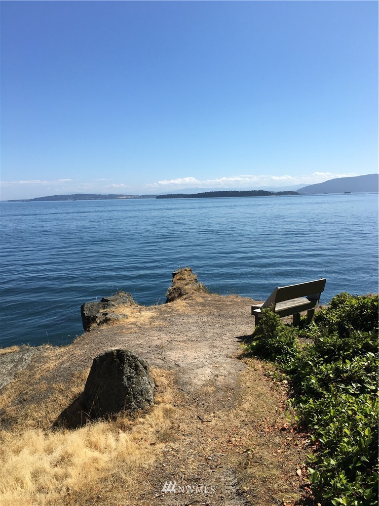0 Raccoon Point Road Orcas Island, WA 98245 - Photo 8 of 10 Gallery Image 8