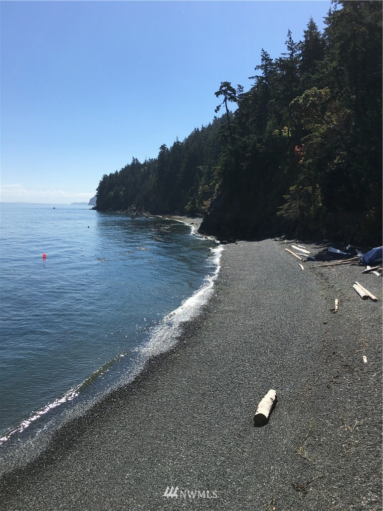 0 Raccoon Point Road Orcas Island, WA 98245 - Photo 10 of 10 Gallery Image 10