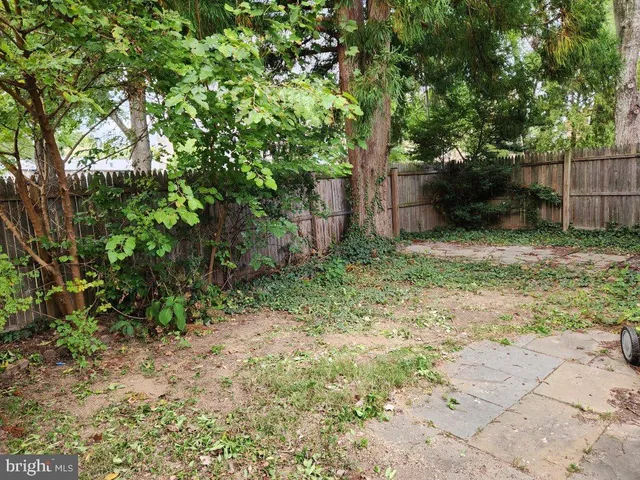 a view of backyard with plants and trees