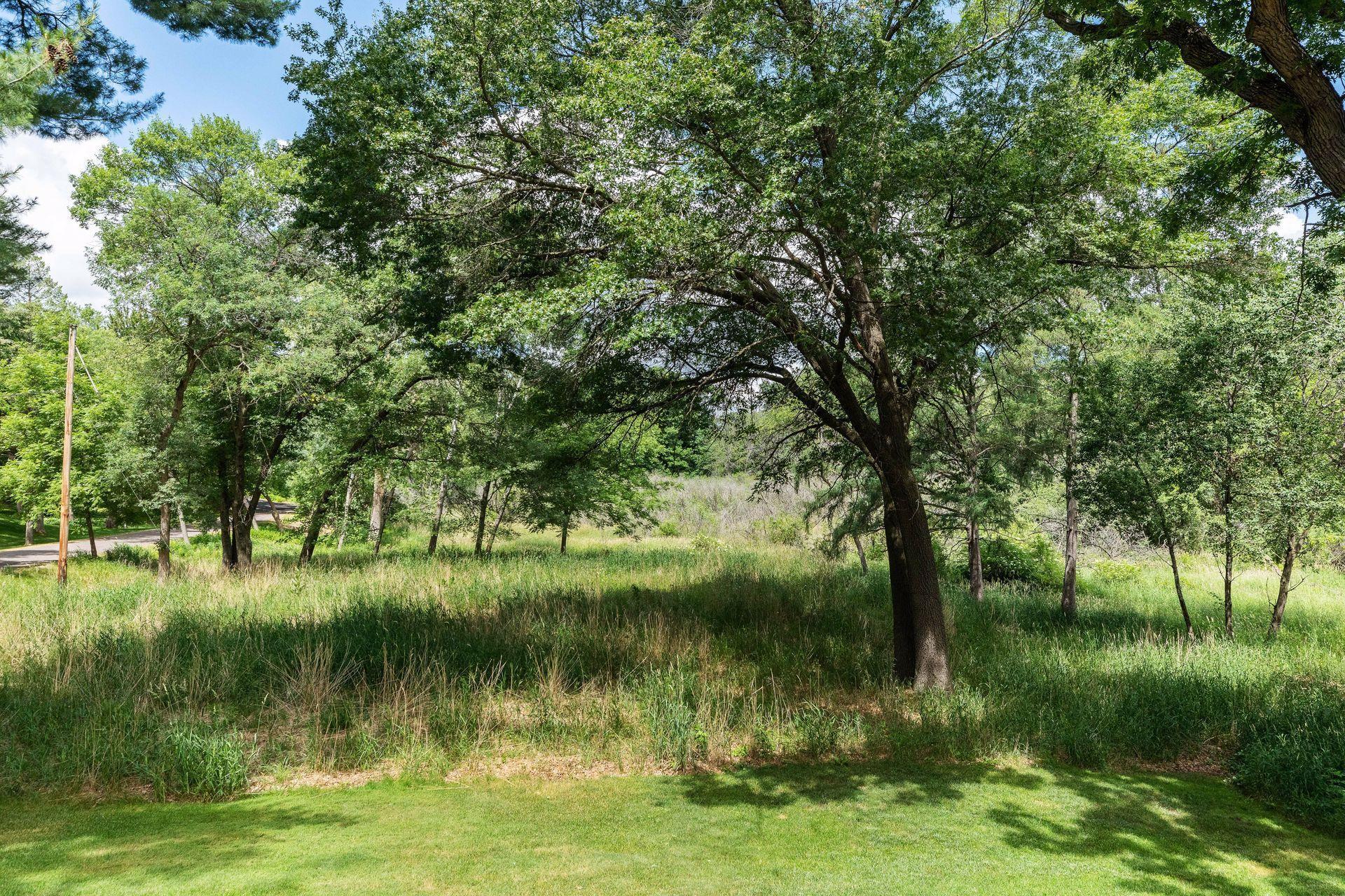 12 Buffalo Road North Oaks, MN 55127 - Photo 3 of 14