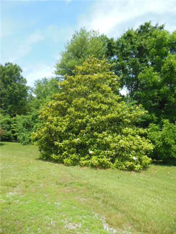 680 Durham Road Adams, TN 37010 - Photo 18 of 18