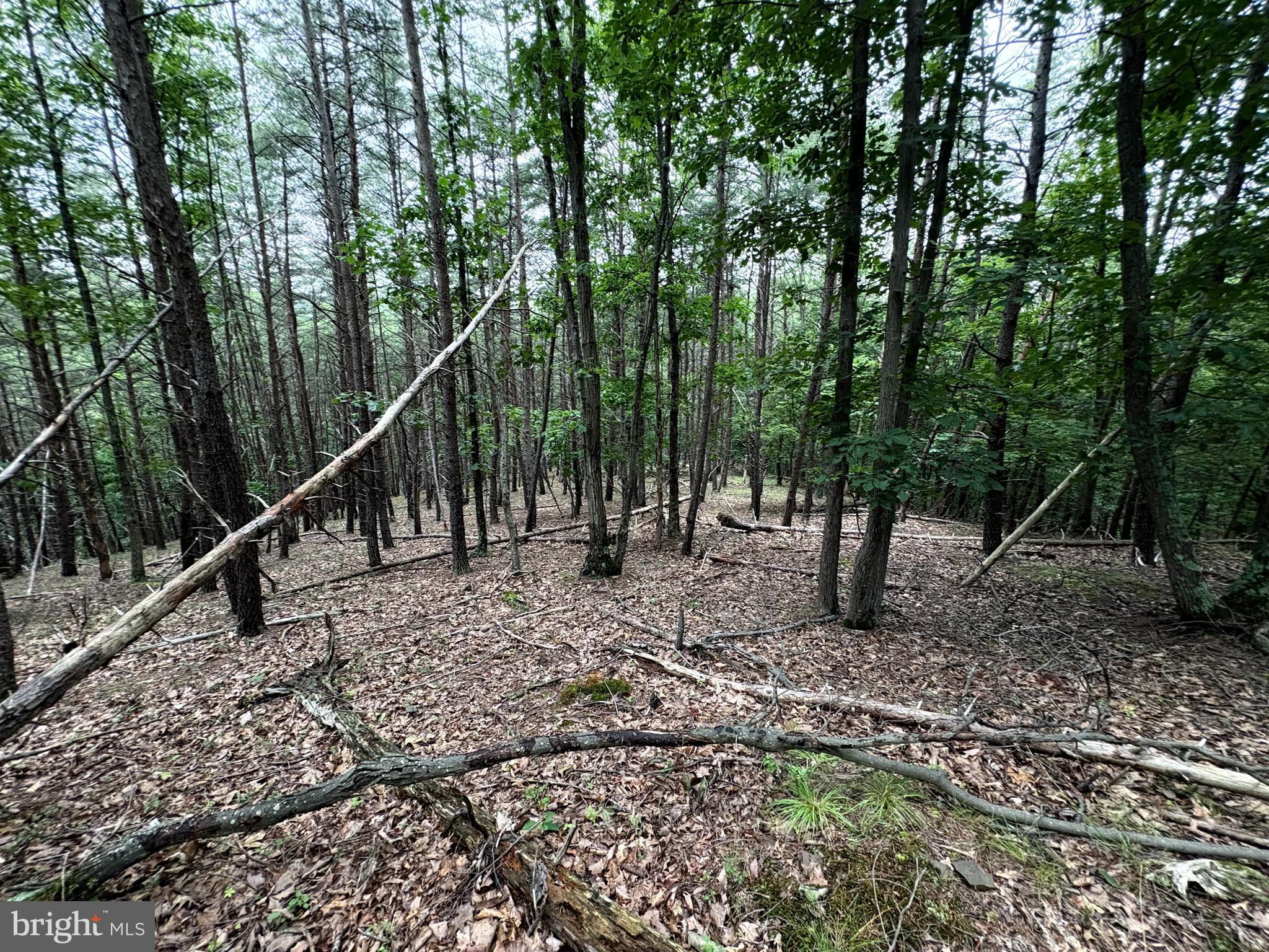 Lot 126 Bluffs Blue Beach Road Springfield, WV 26763 - Photo 16 of 20