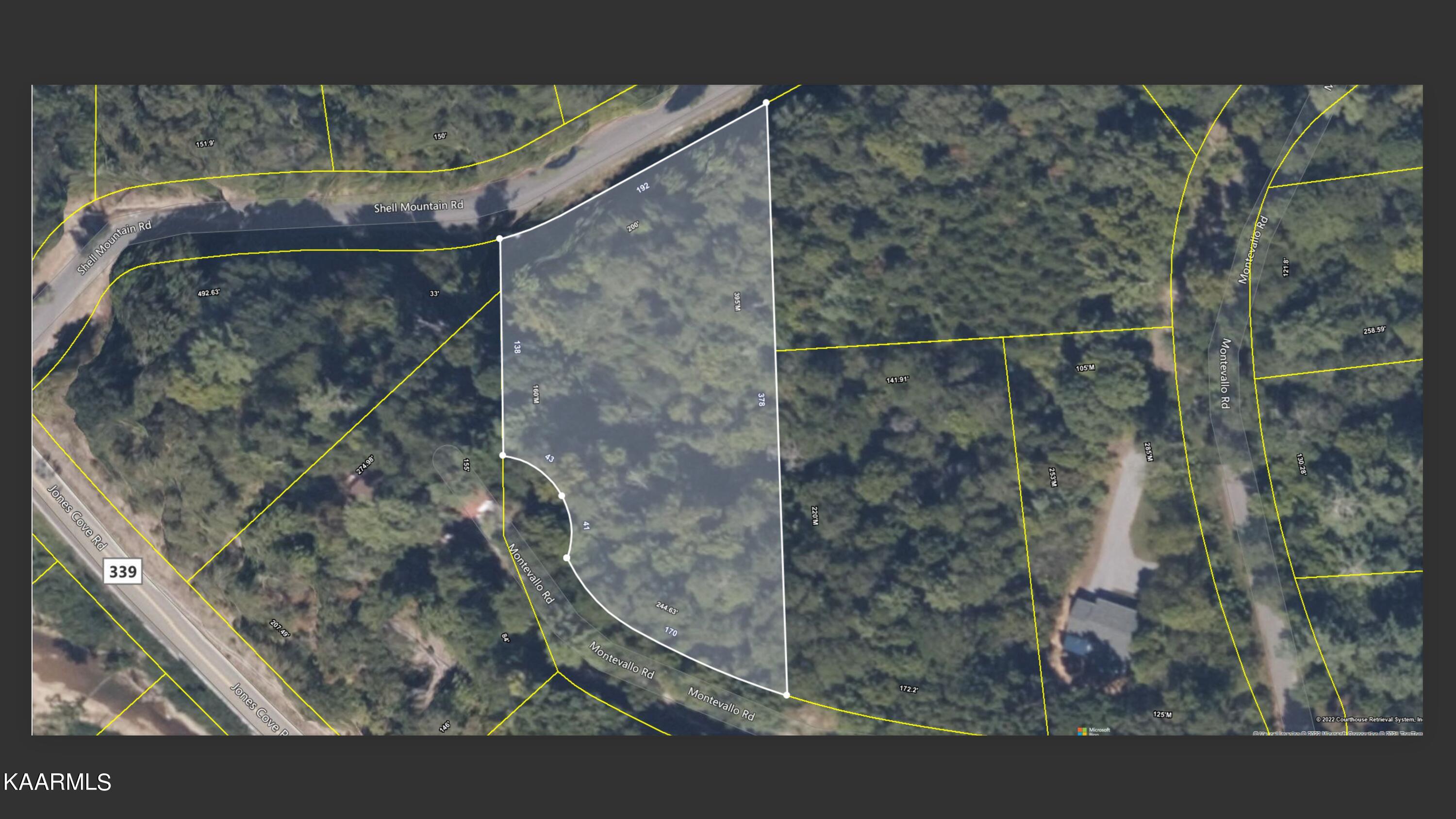 Screen Shot 2022-01-24 at 10.47.30 AM