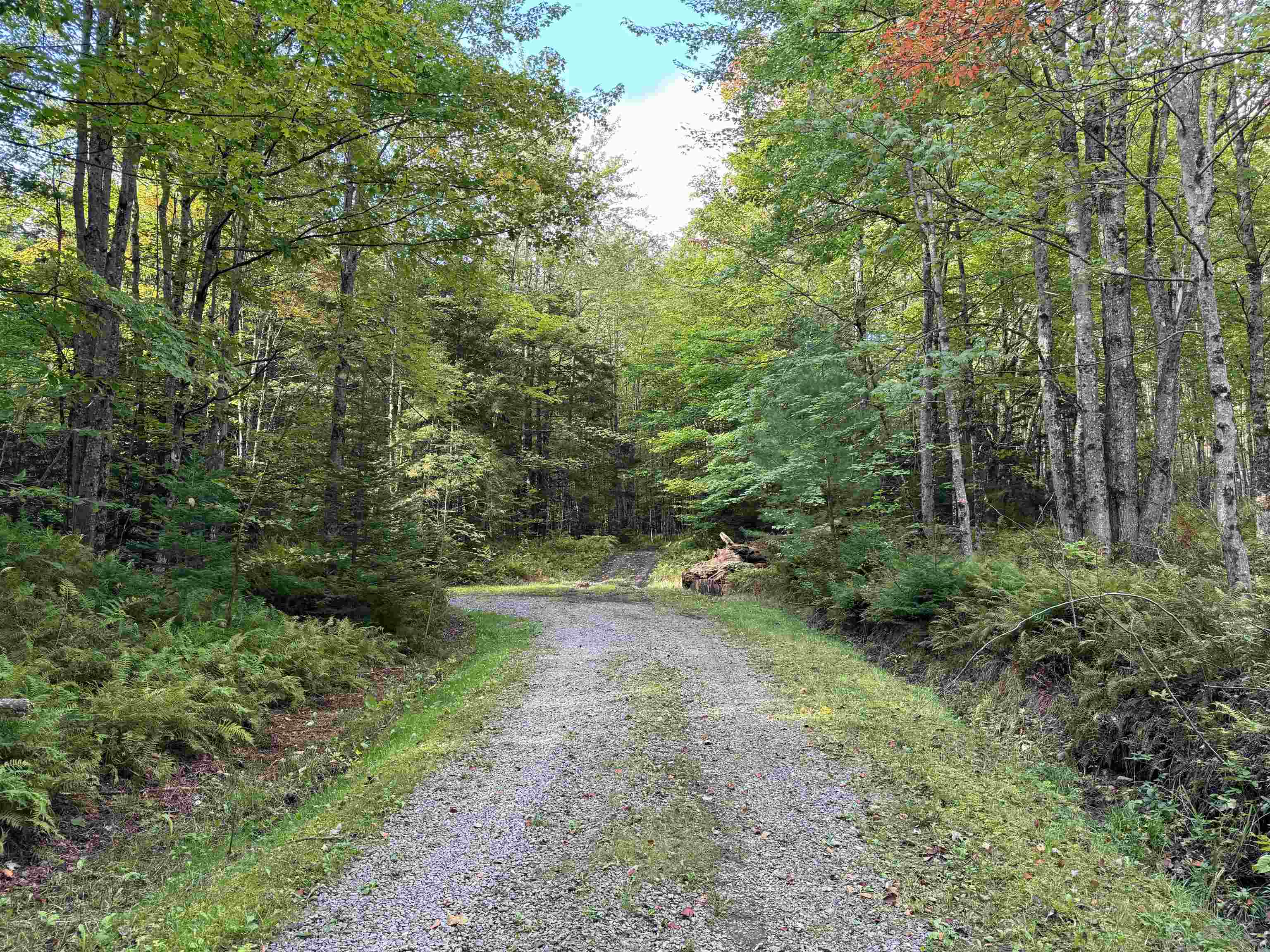 2295 Elmore Pond Road Wolcott, VT 05680 - Photo 1 of 14